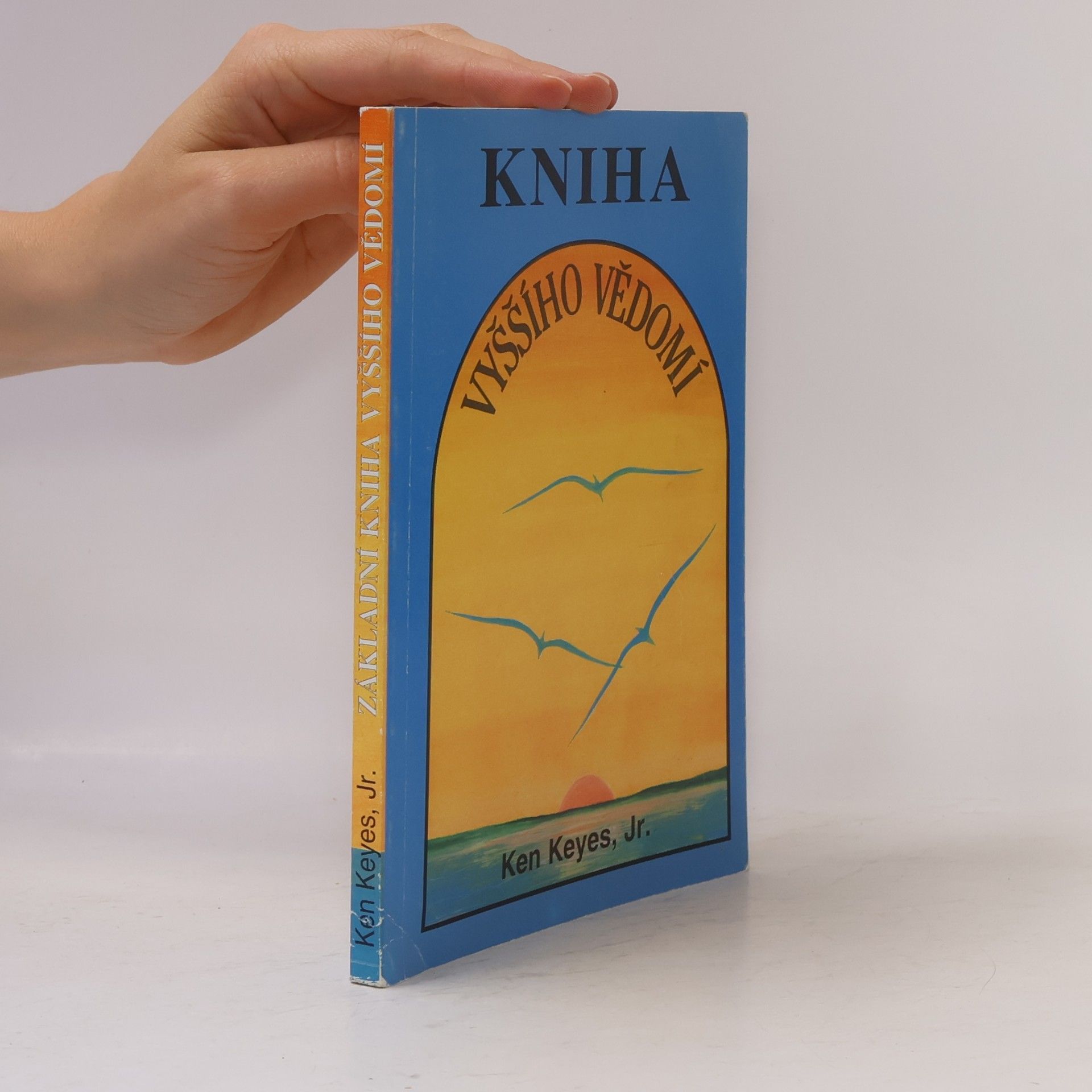 Ken Keyes Základní kniha vyššího vědomí