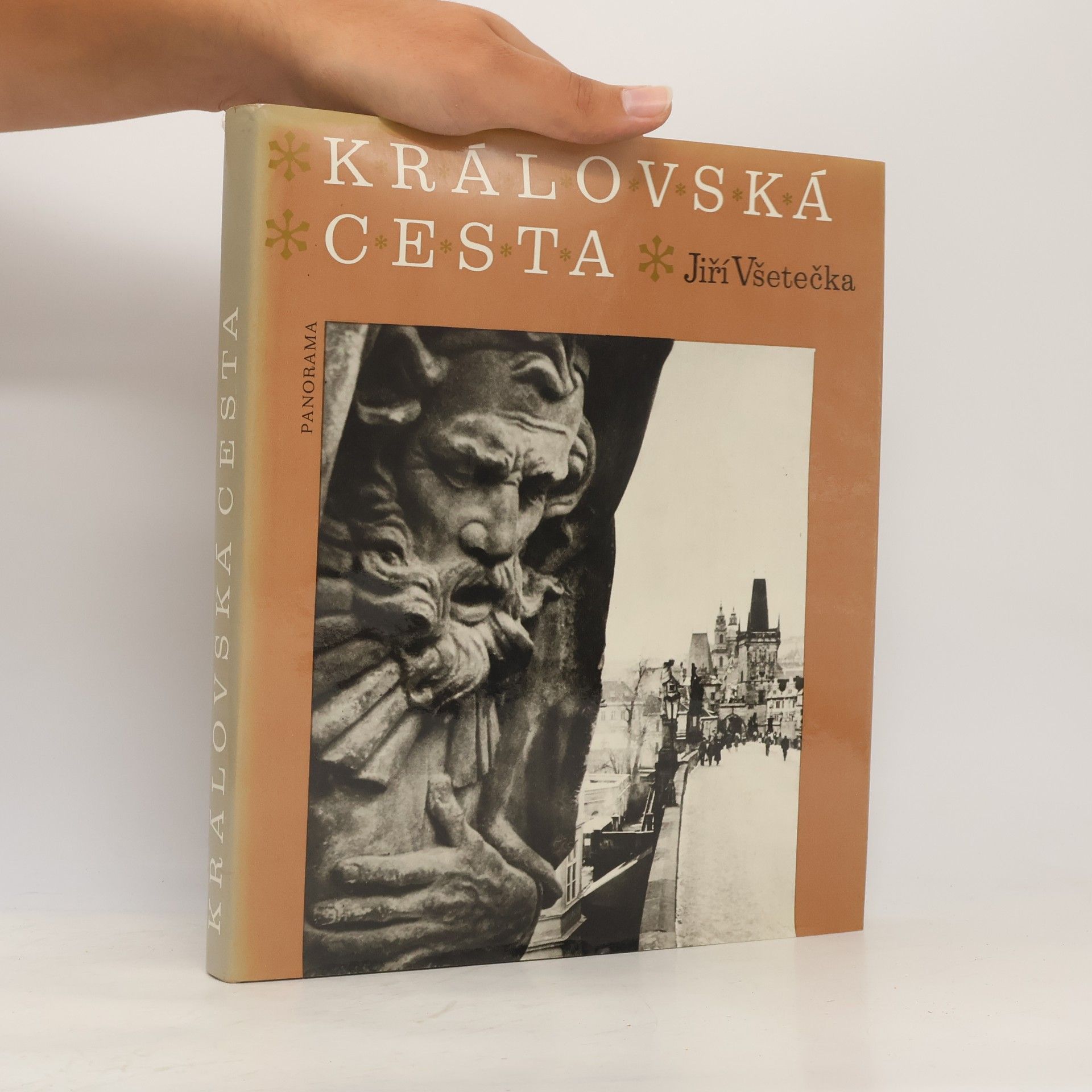 Jiří Všetečka Královská cesta