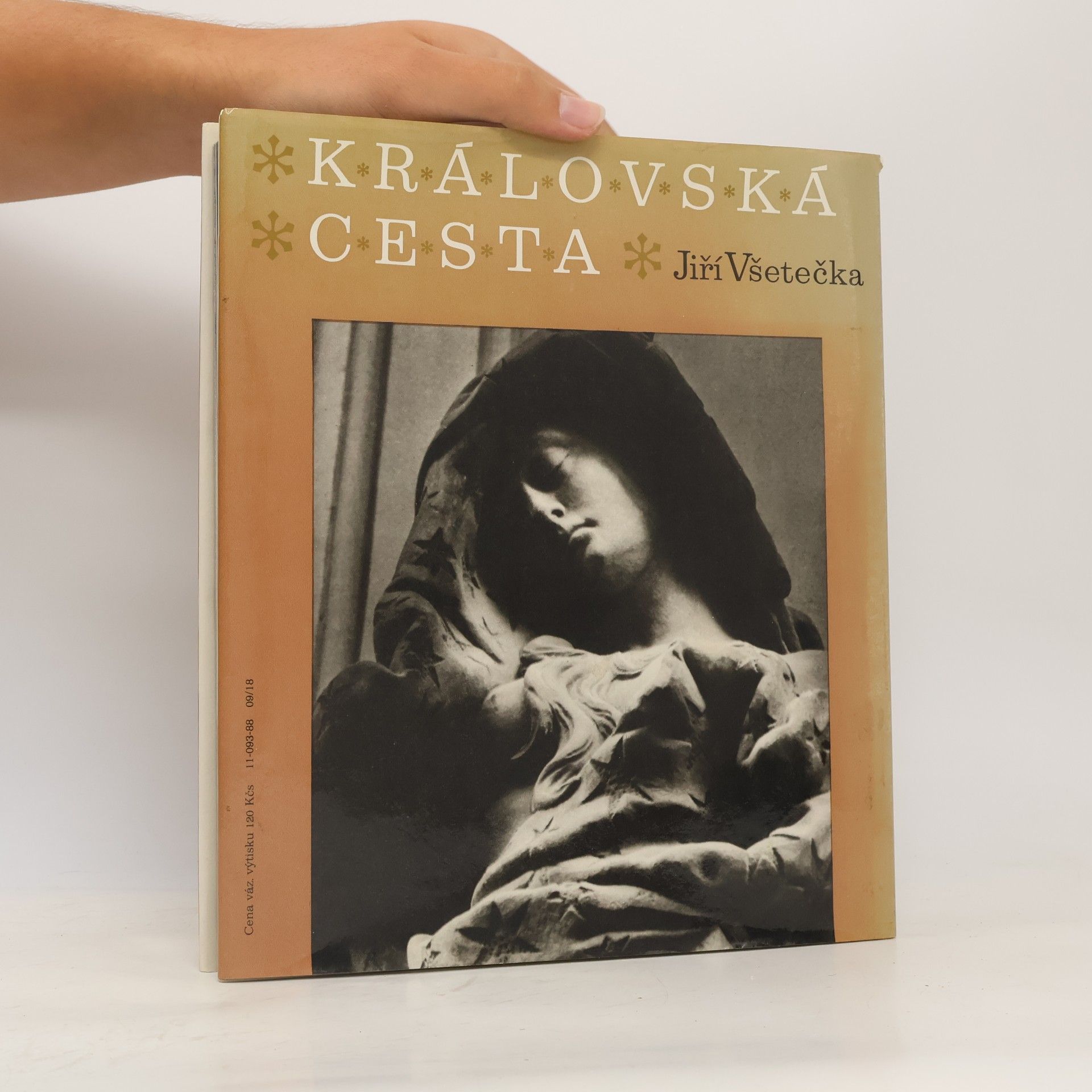 Jiří Všetečka Královská cesta