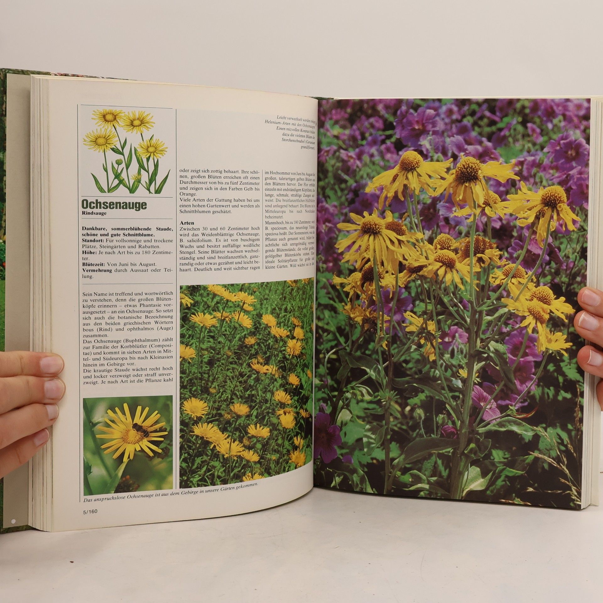 Kolektív autorov Blumen und Garten 5