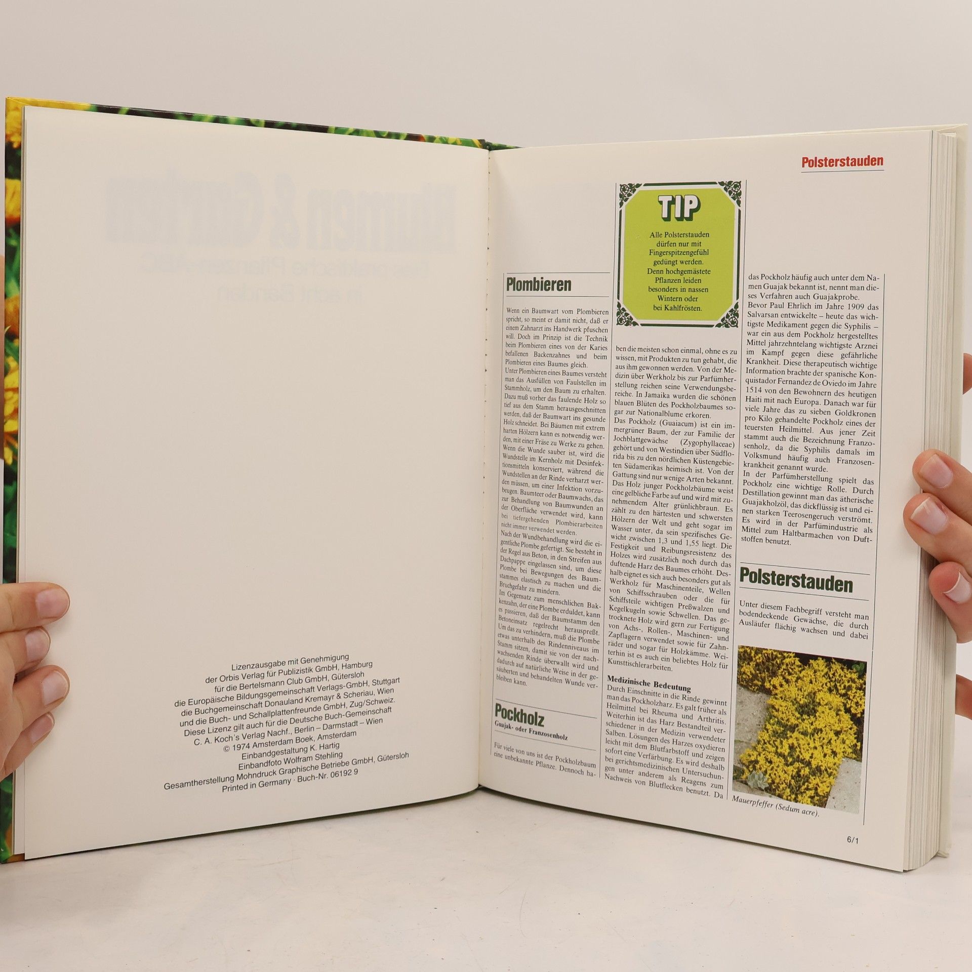 Autorenkollektiv Blumen & Garten 6