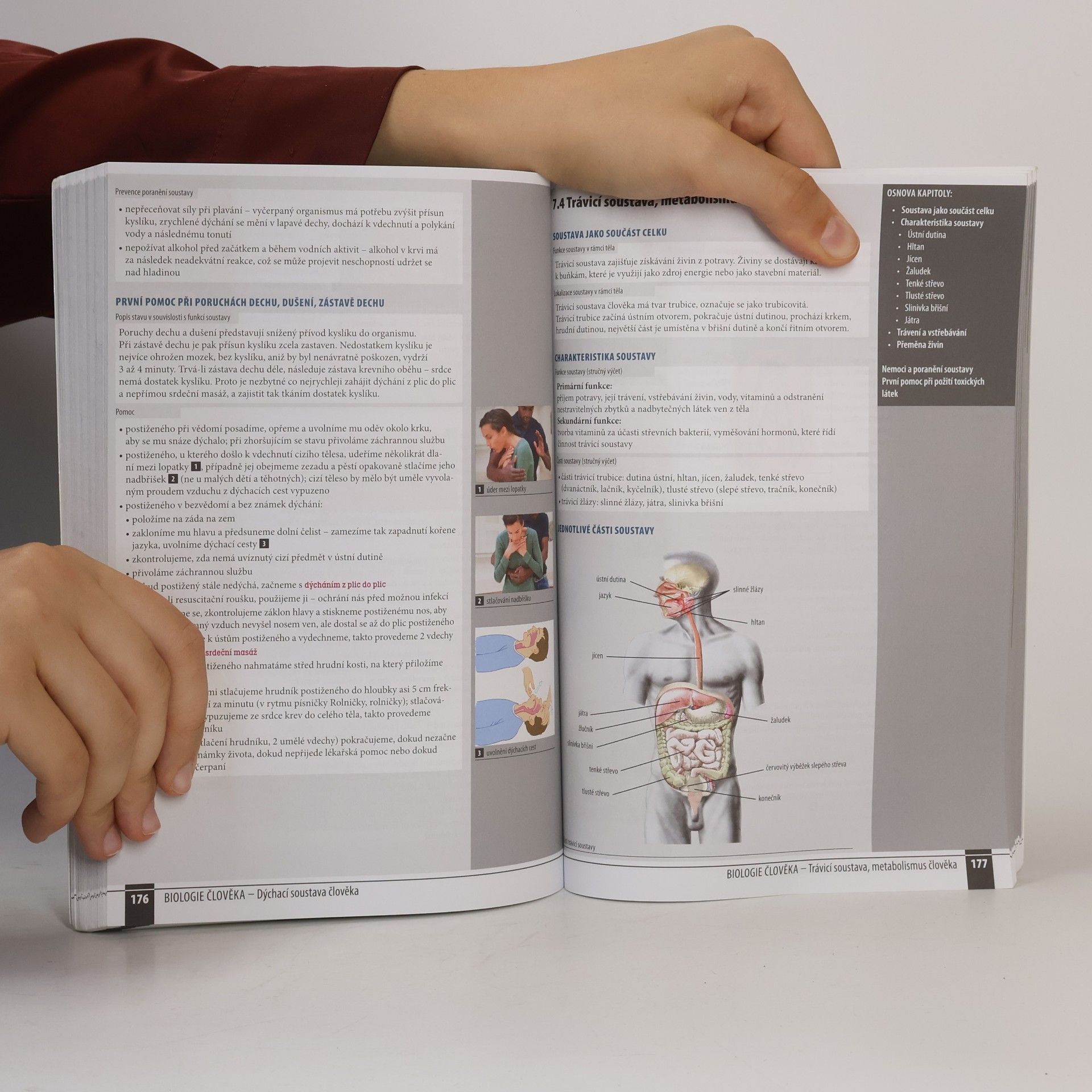 Autorenkollektiv Odmaturuj! z biologie