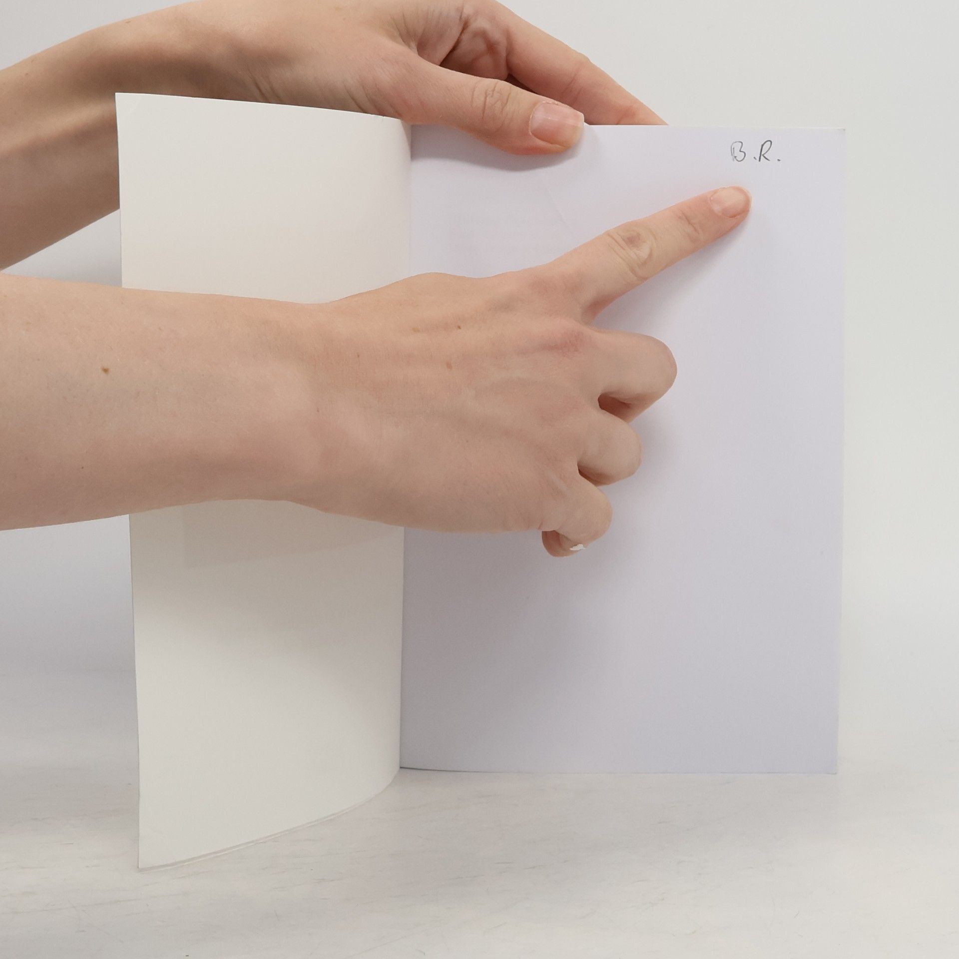 Barbara A. Rohregger Shifting Boundaries