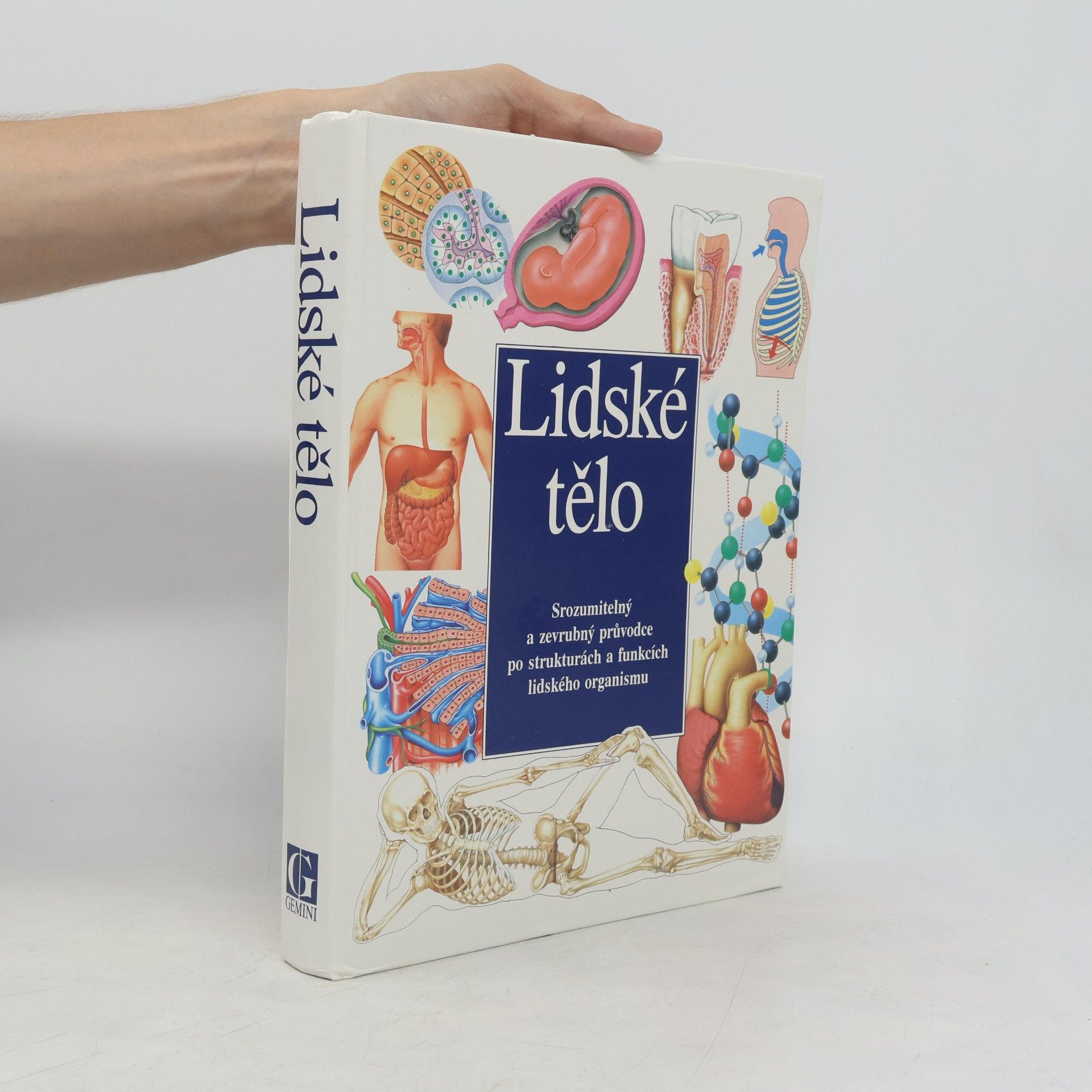 Collectif d'auteurs Lidské tělo : Srozumitelný a zevrubný průvodce po strukturách a funkcích lidského organismu