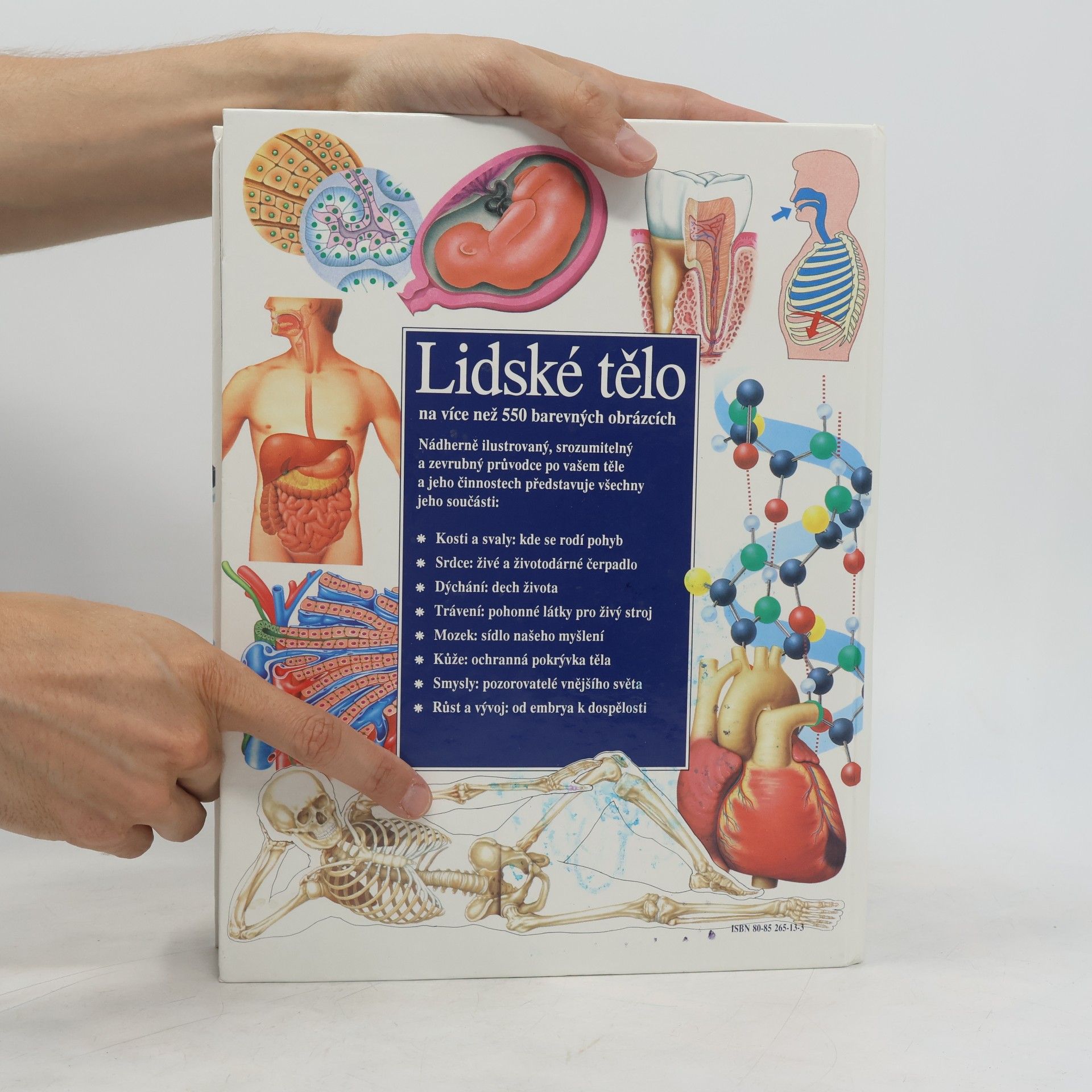 Collectif d'auteurs Lidské tělo : Srozumitelný a zevrubný průvodce po strukturách a funkcích lidského organismu
