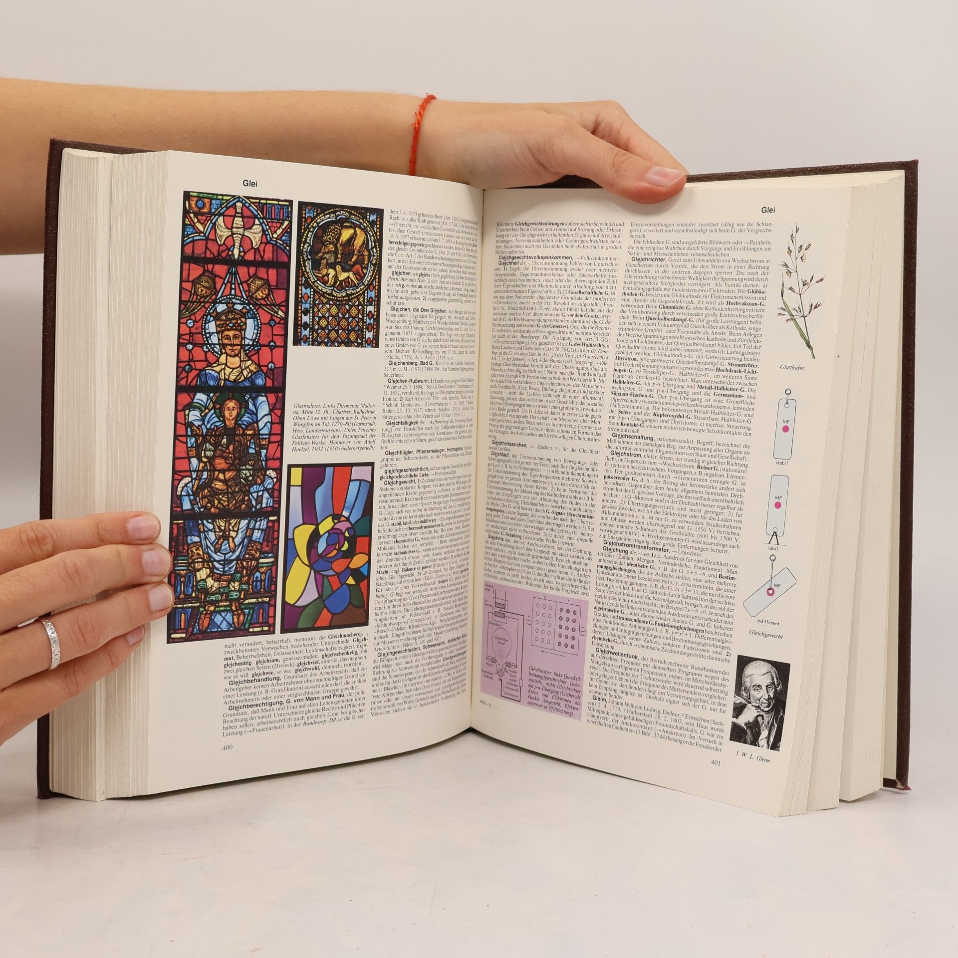 Auteurscollectief Der neue Brockhaus 2