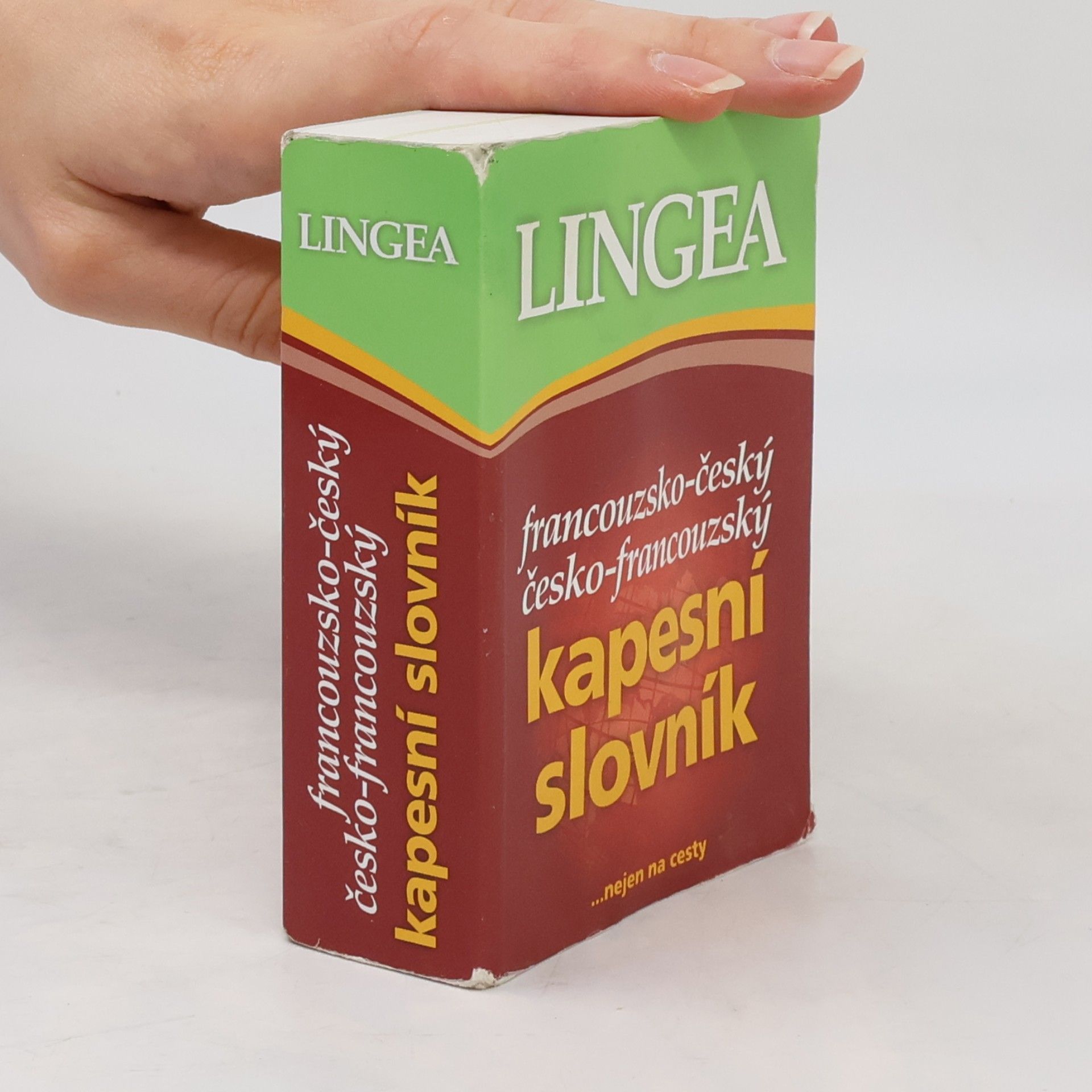 Autorenkollektiv Francouzsko-český, česko-francouzský kapesní slovník