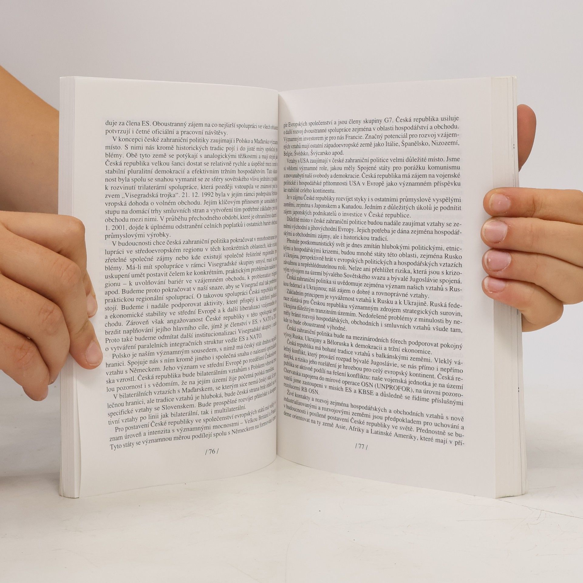 Autorenkollektiv Ekonomické perspektivy České republiky
