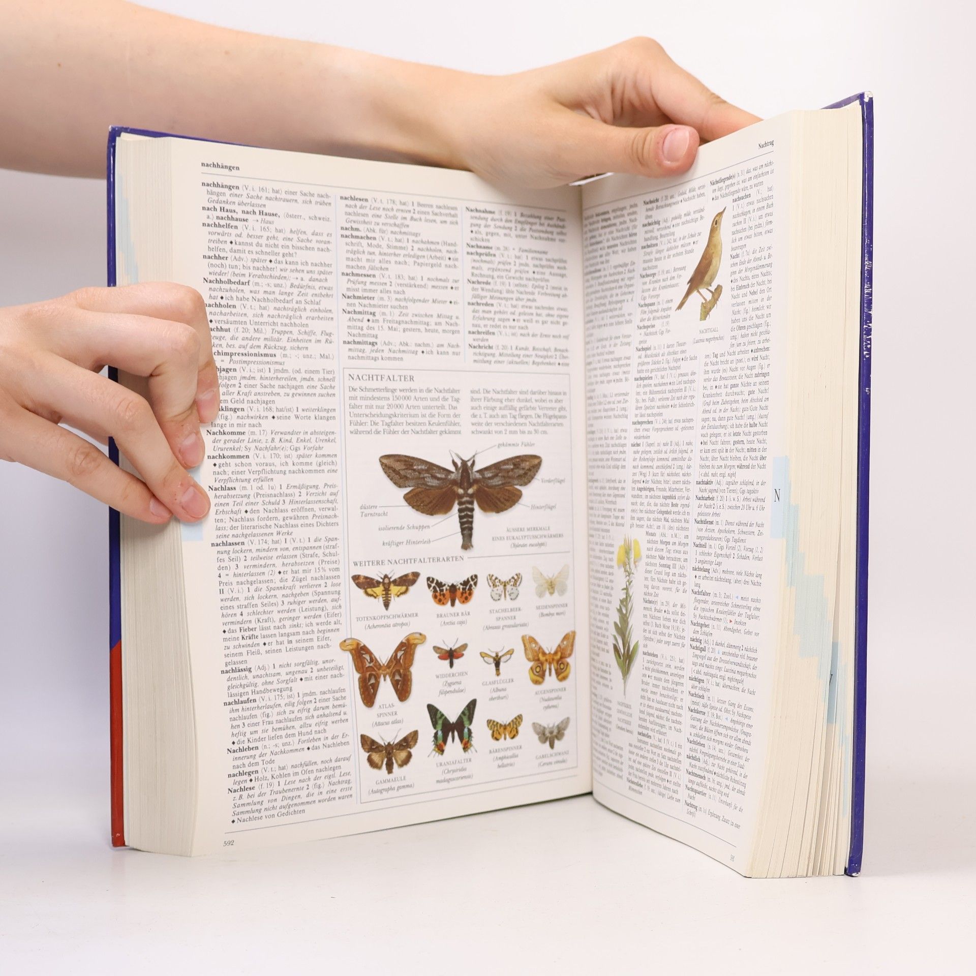 Renate Wahrig-Burfeind Wahrig Illustriertes Worterbuch