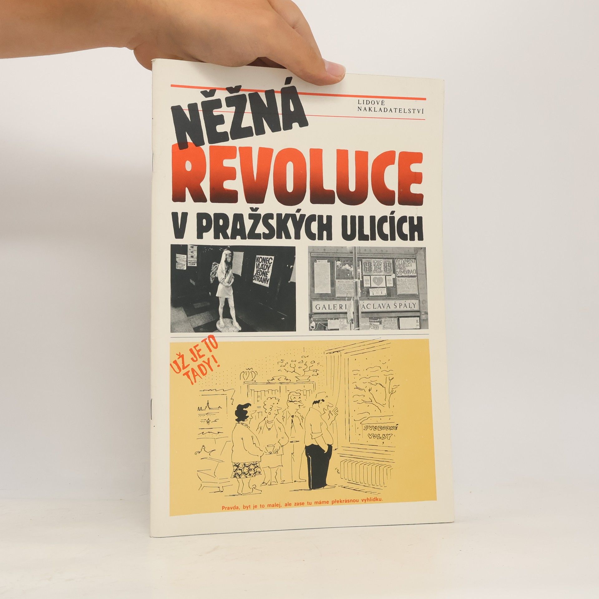 Herman František Něžná revoluce v pražských ulicích