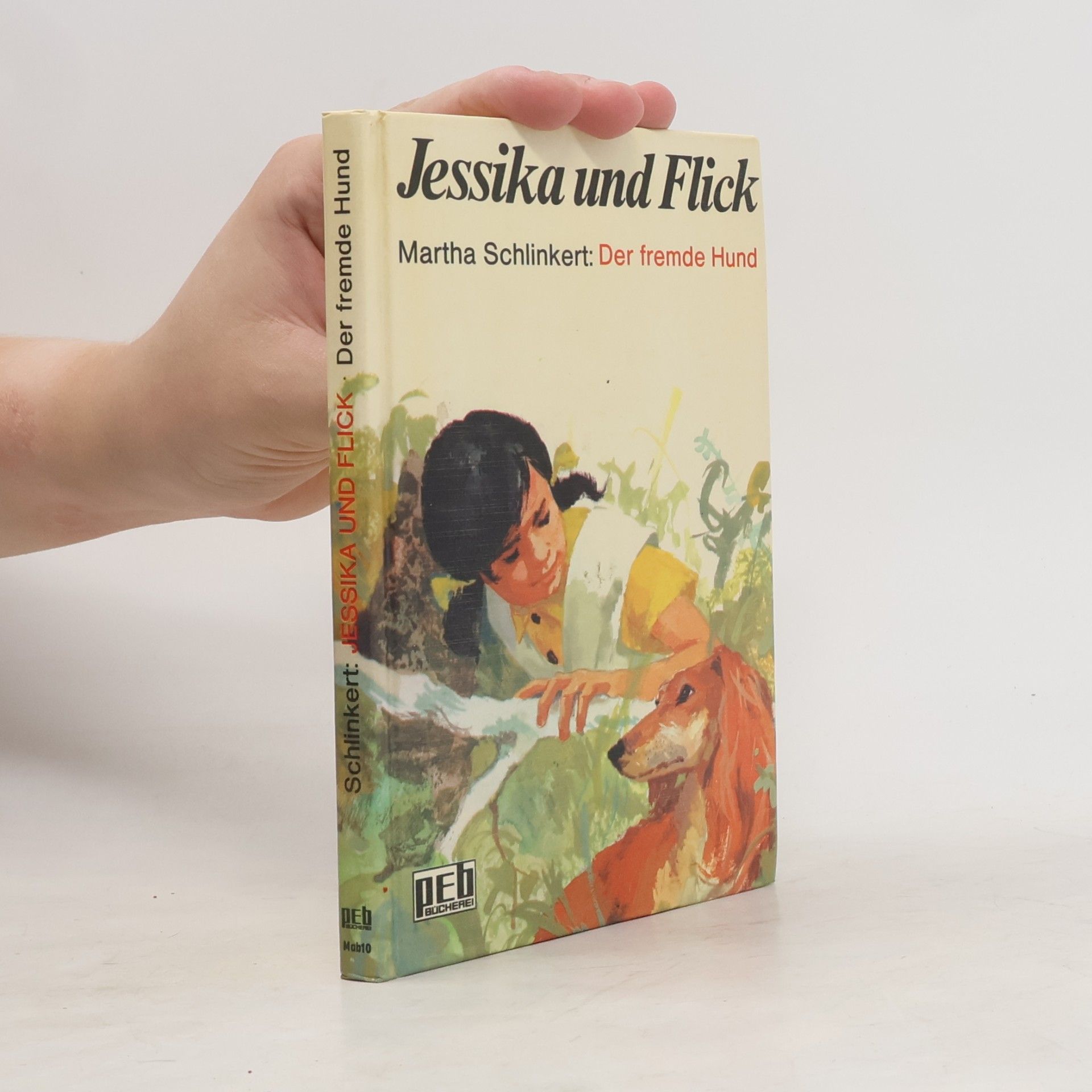 Jessika und Flick. Der fremde Hund