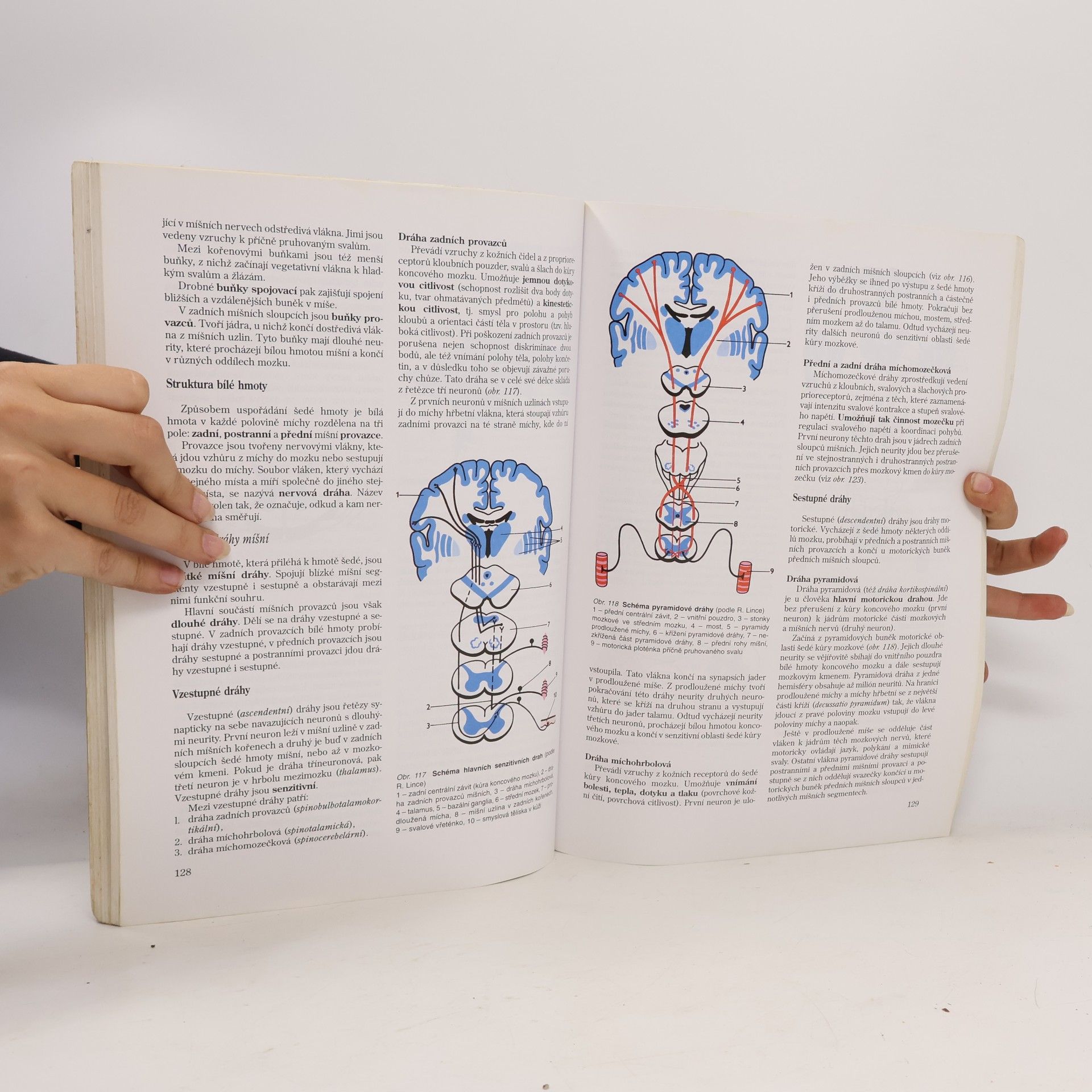 Jitka Machová Biologie člověka pro učitele