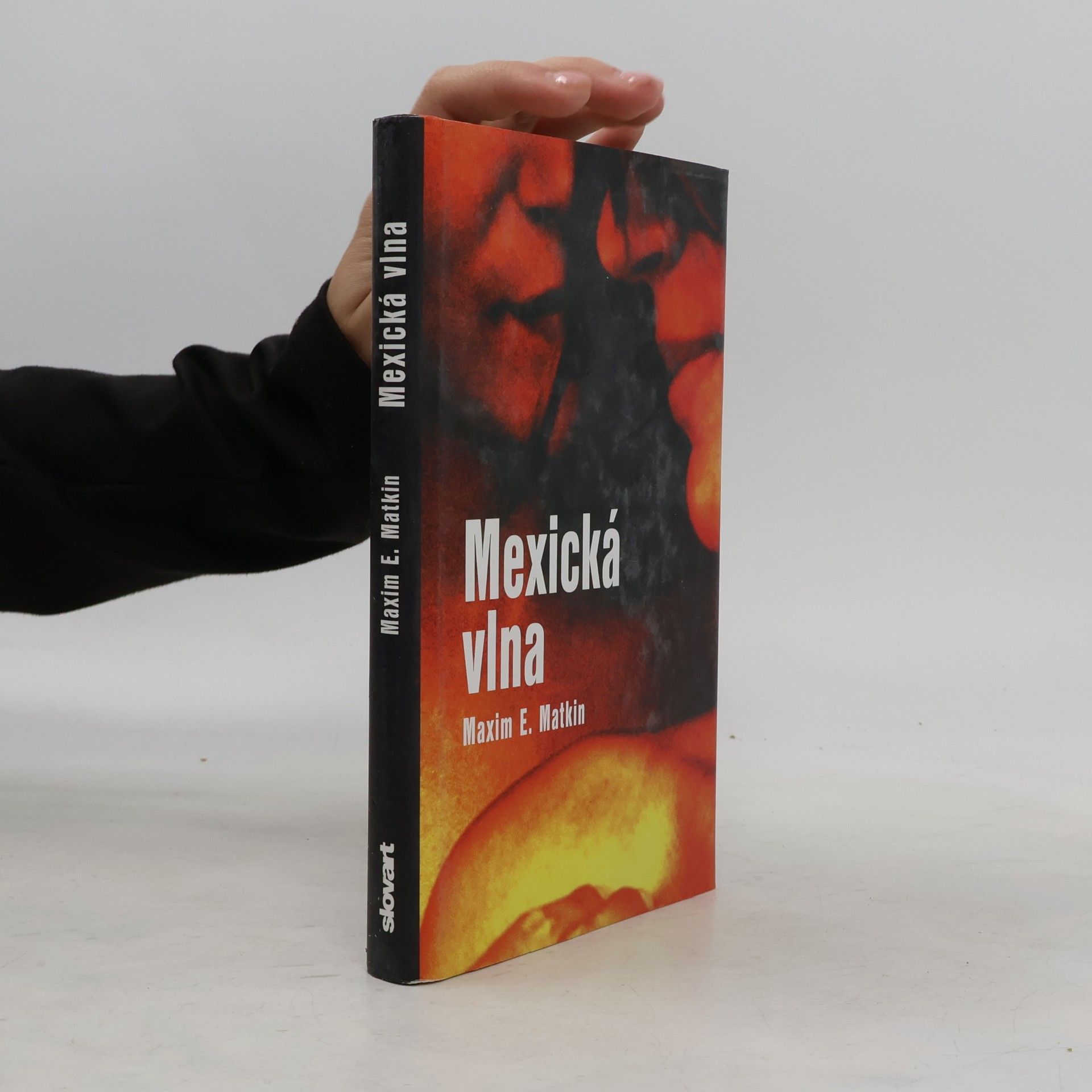 Maxim E. Matkin Mexická vlna