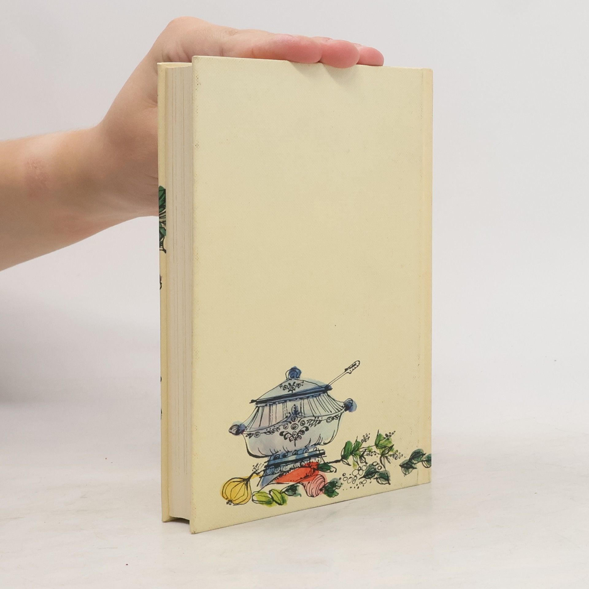 Henriette Davidis Mutters praktisches Kochbuch
