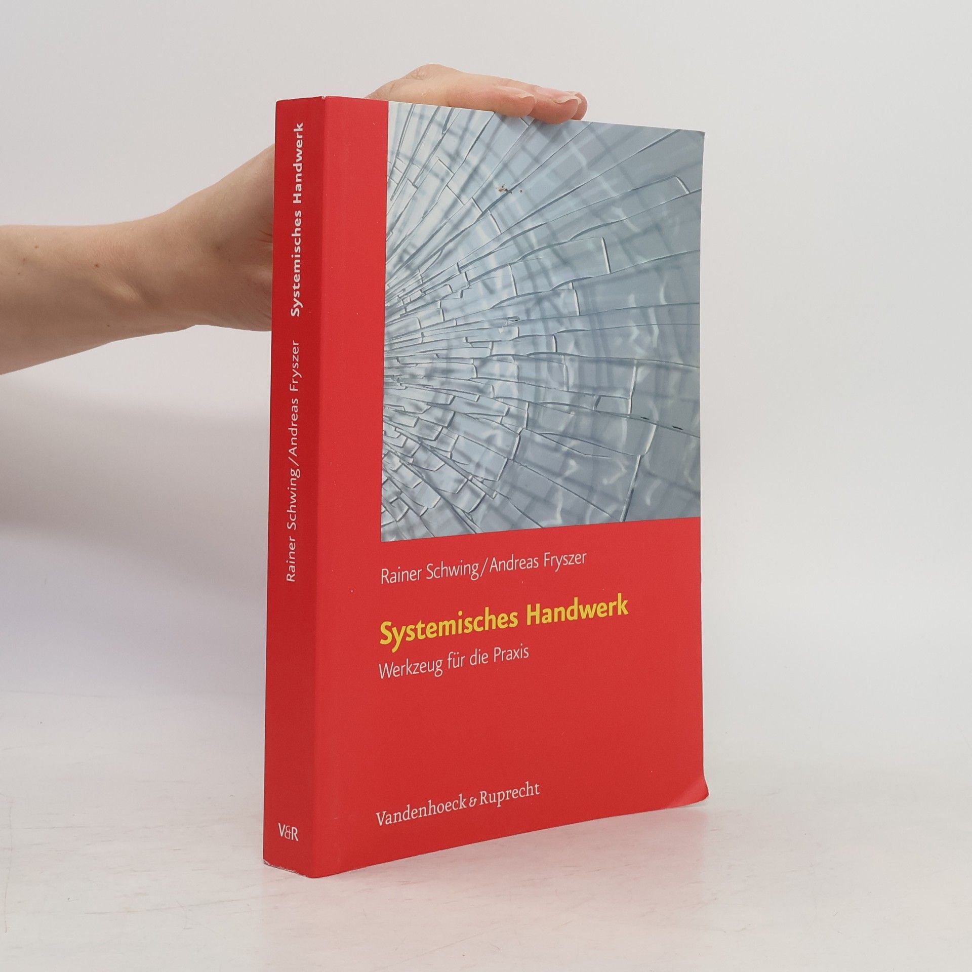 Rainer Schwing Systemisches Handwerk. Werkzeug für die Praxis