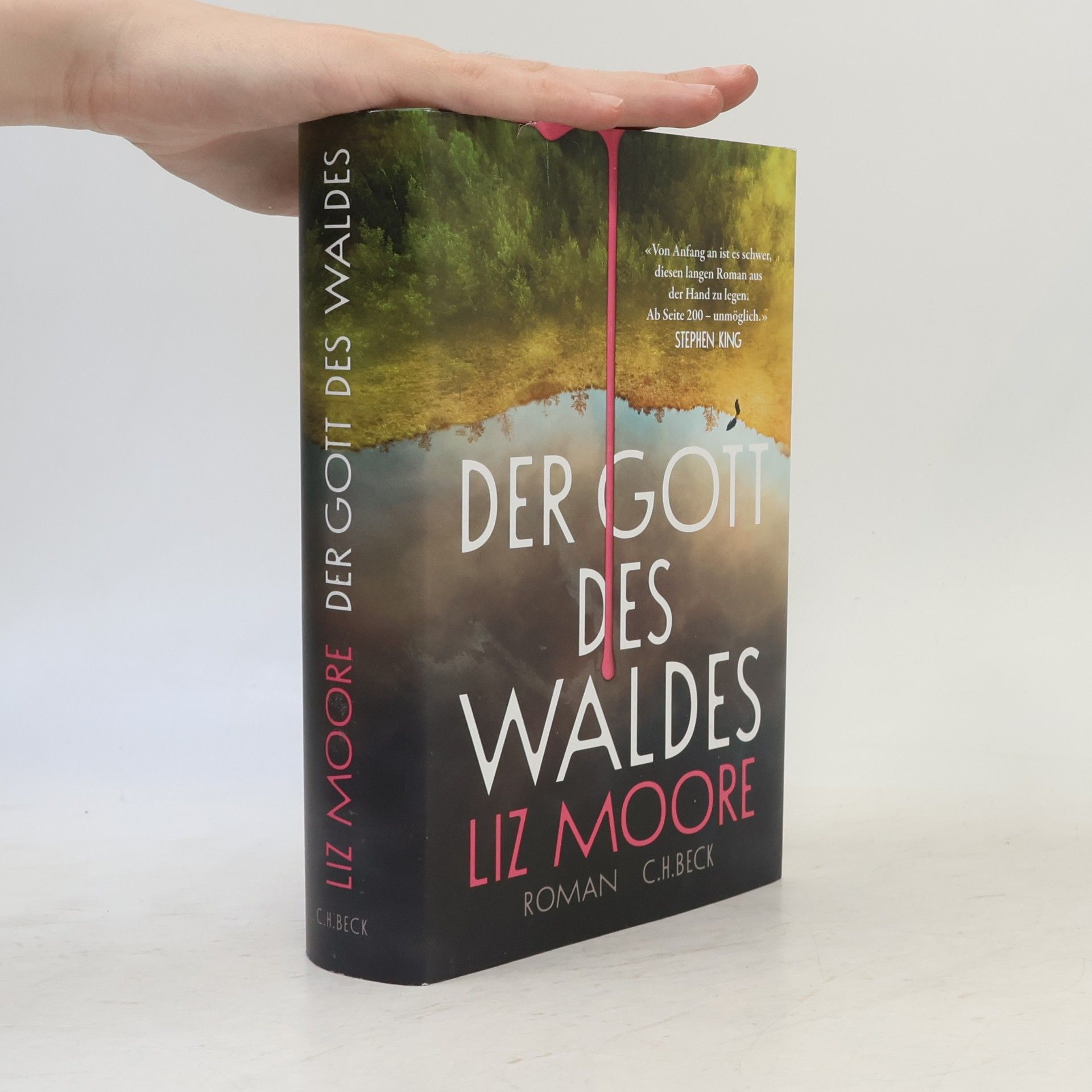 Liz Moore Der Gott des Waldes