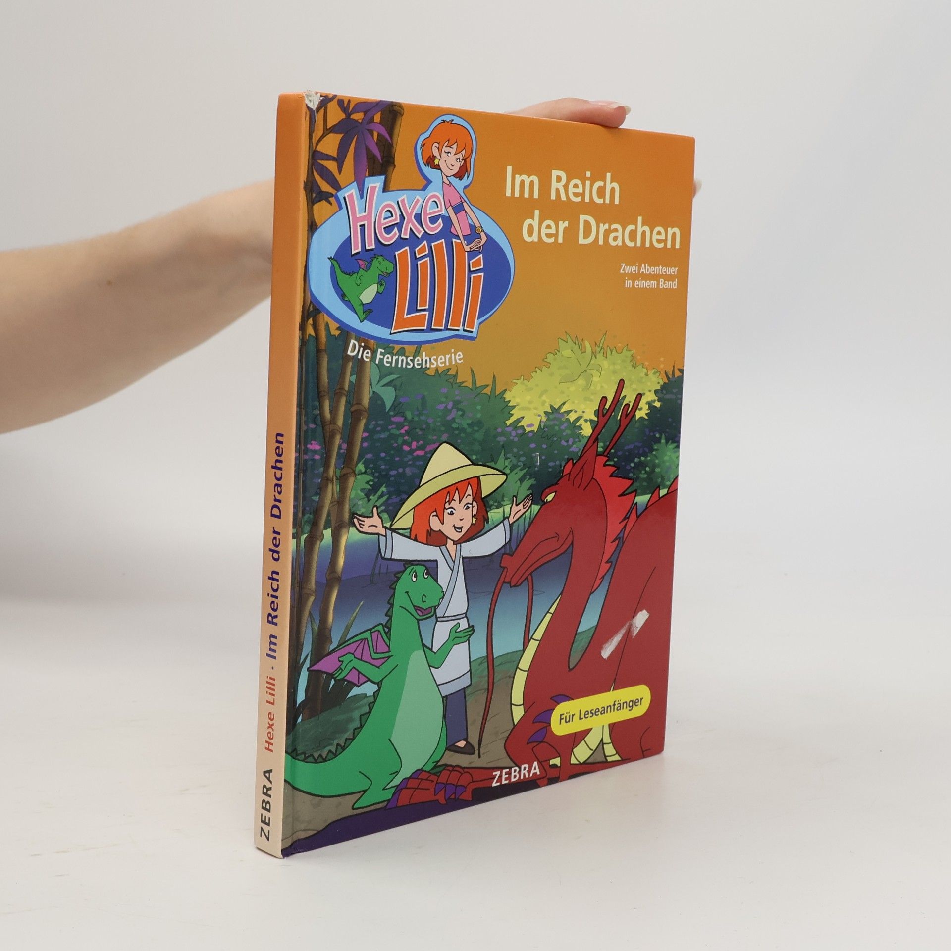 Autorenkollektiv Im Reich der Drachen