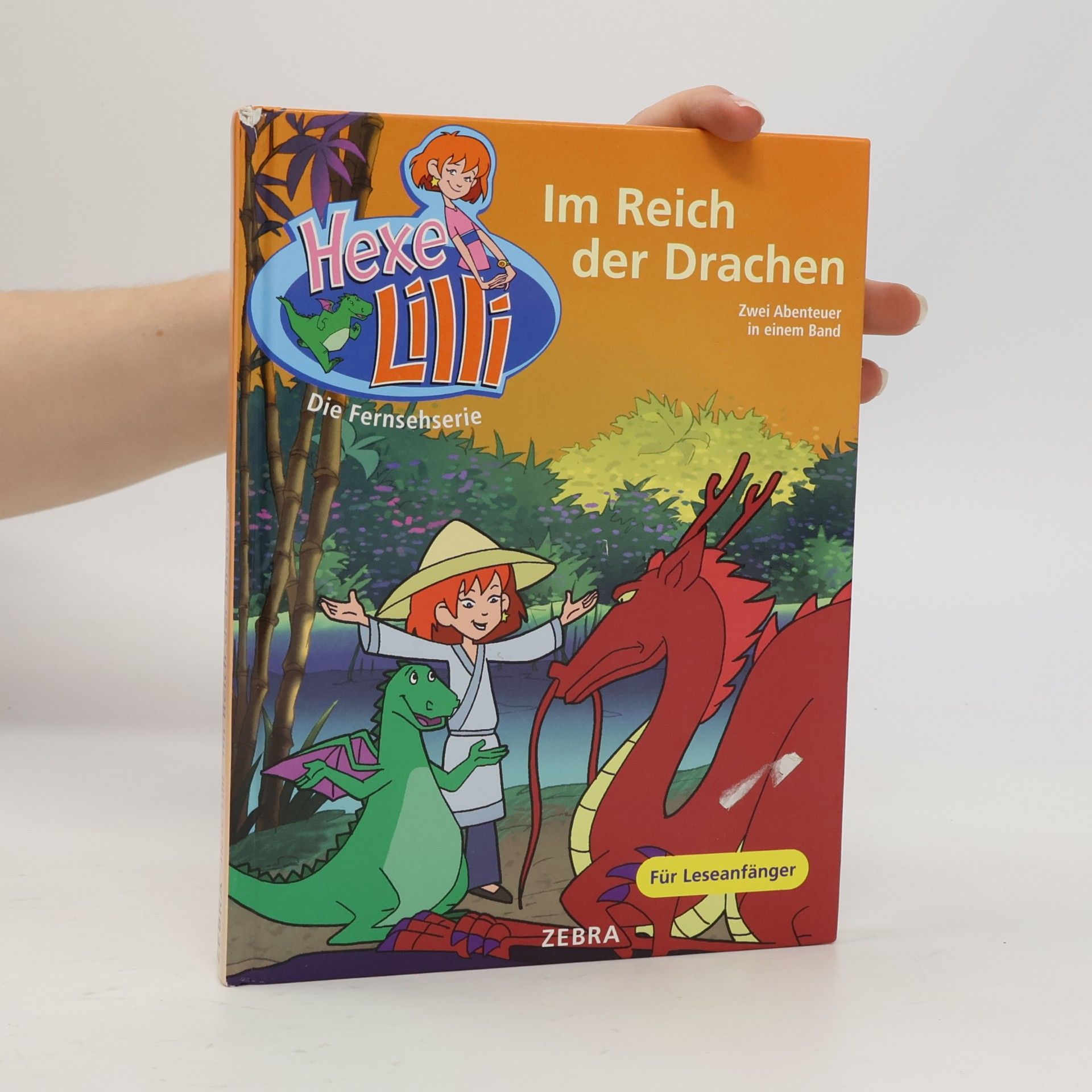 Autorenkollektiv Im Reich der Drachen