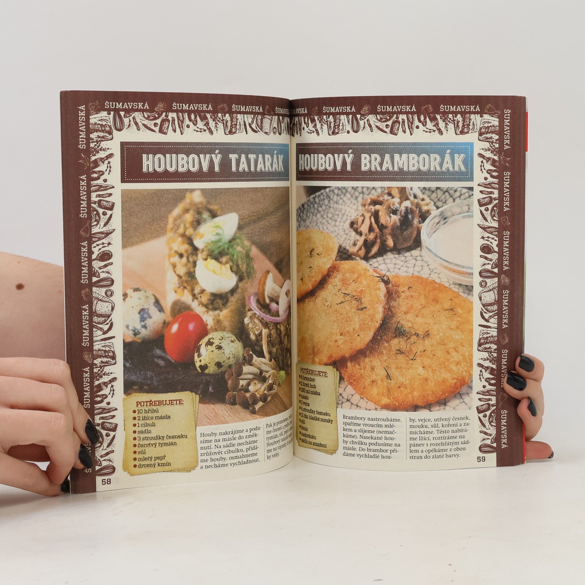 Autorenkollektiv Česká kuchařka. 17. díl. Šumavské speciality