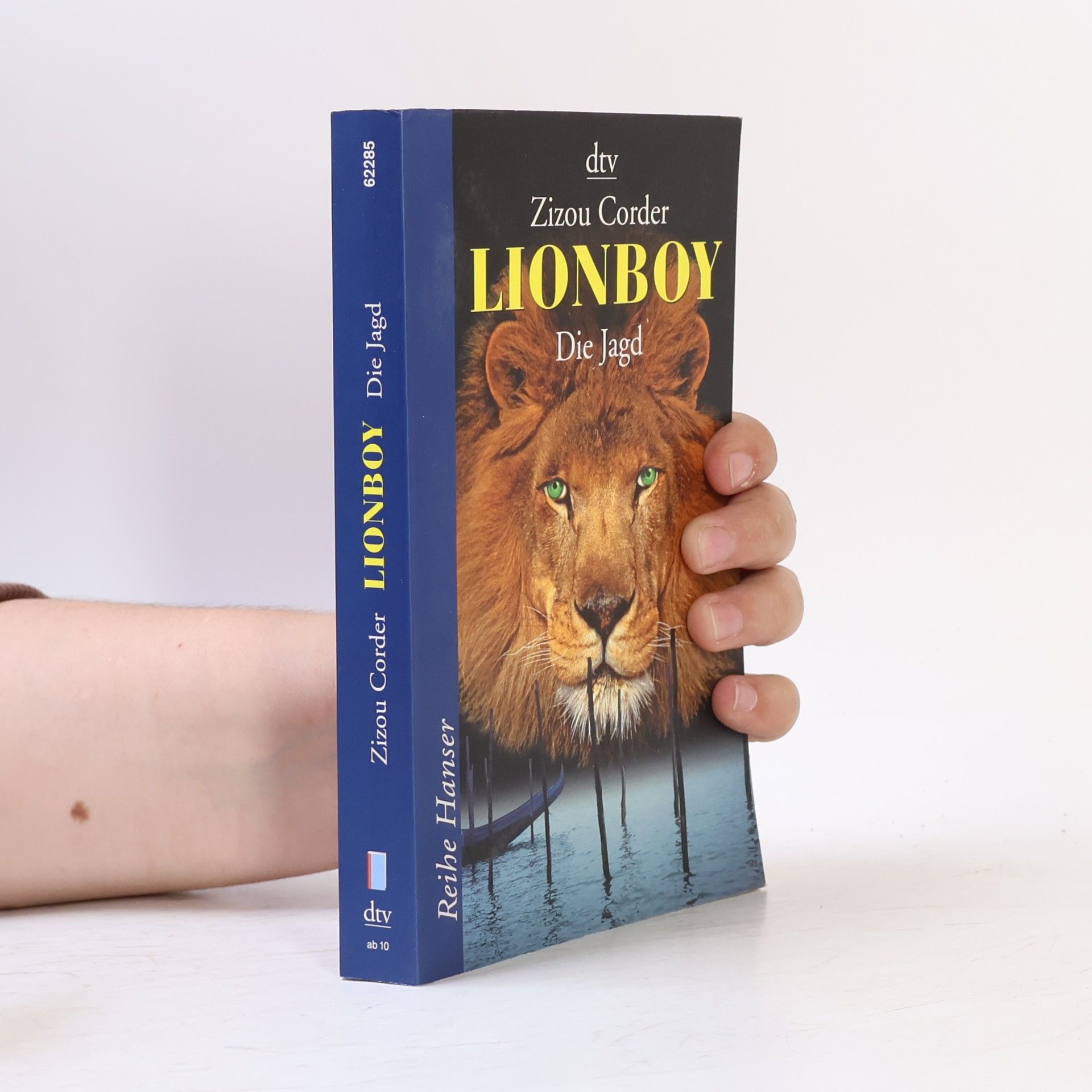 Zizou Corder Lionboy