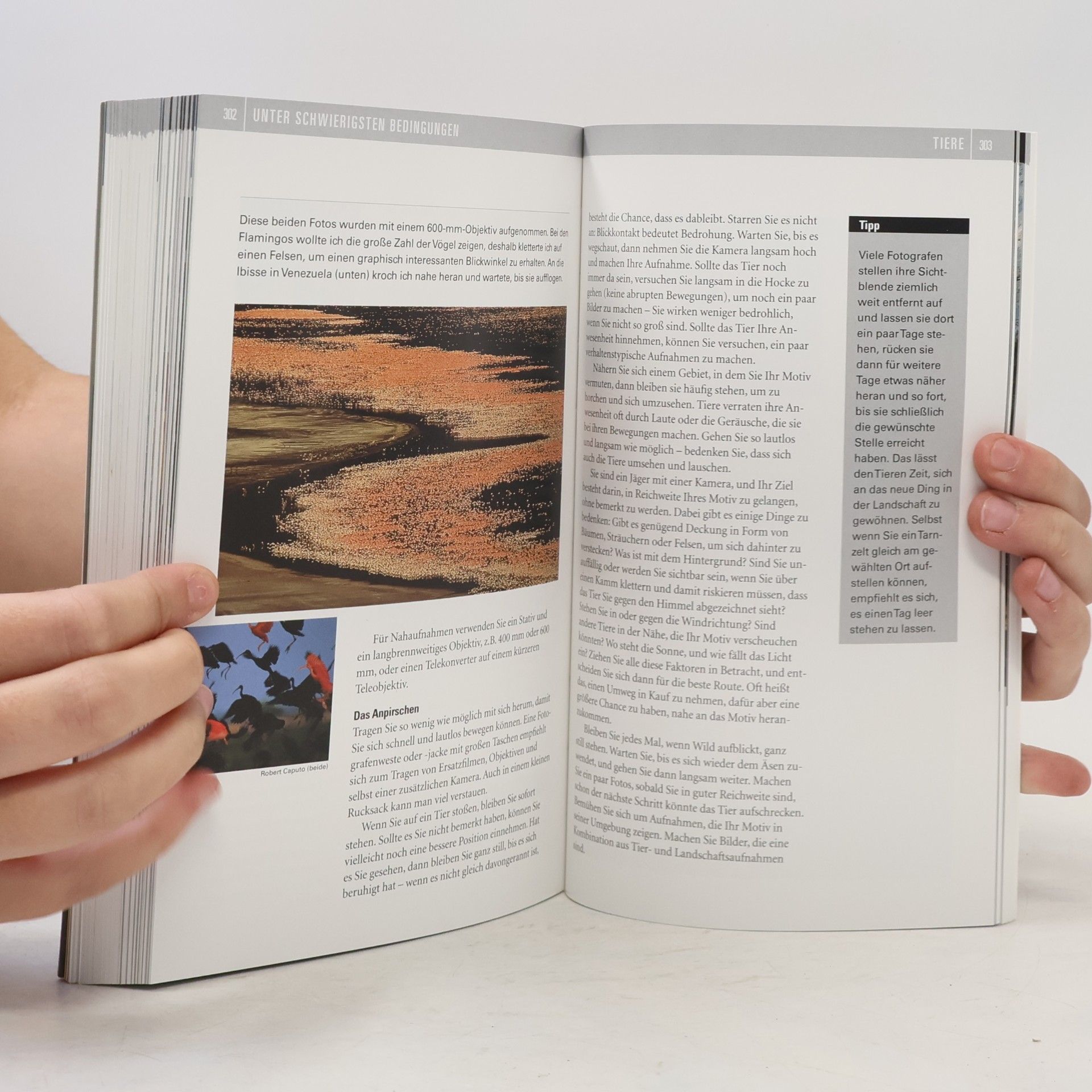 Peter K. Burian Geheimnisse der Profi-Fotografie von National geographic