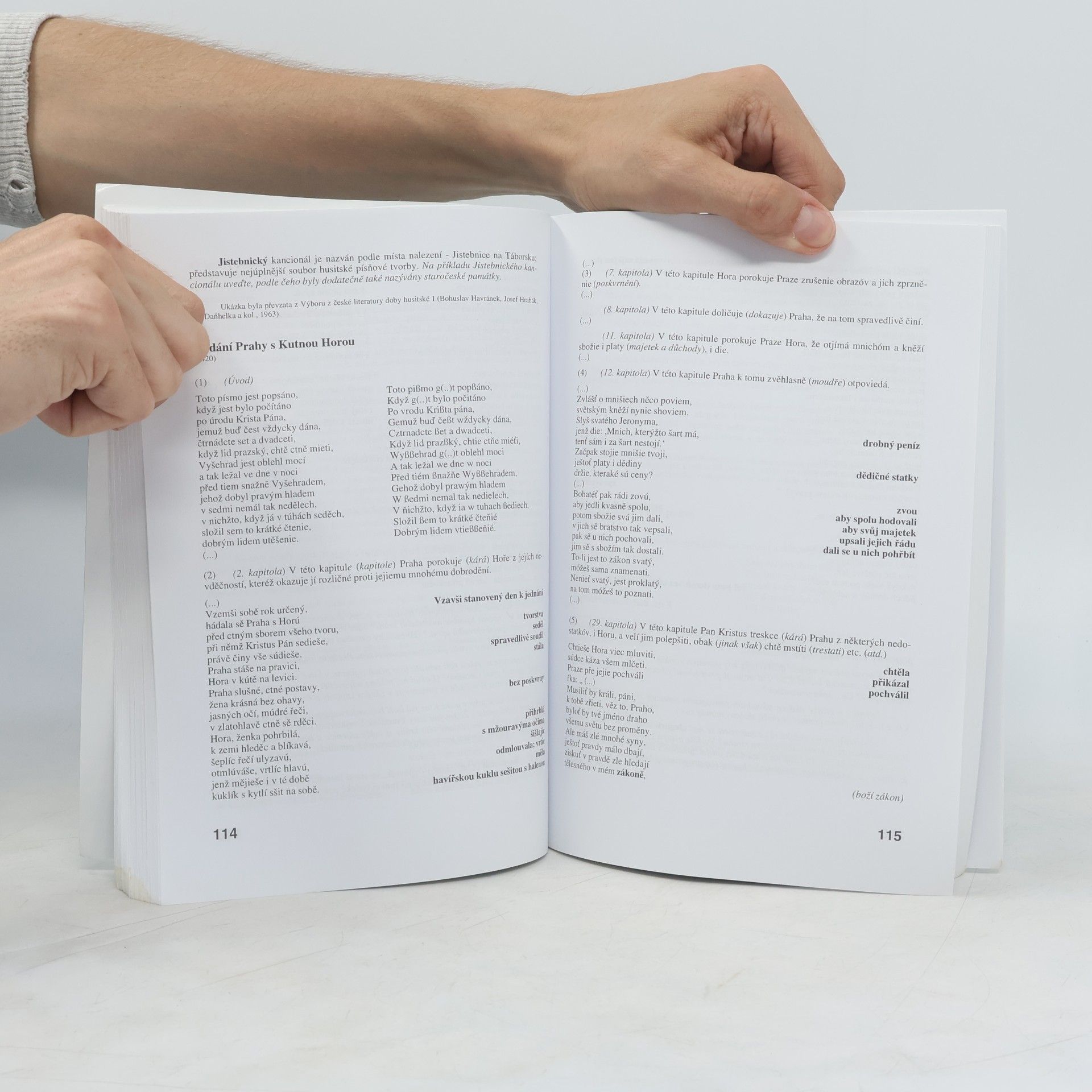 Michaela Soleiman pour Hashemi Literatura I : výbor textů, interpretace, literární teorie
