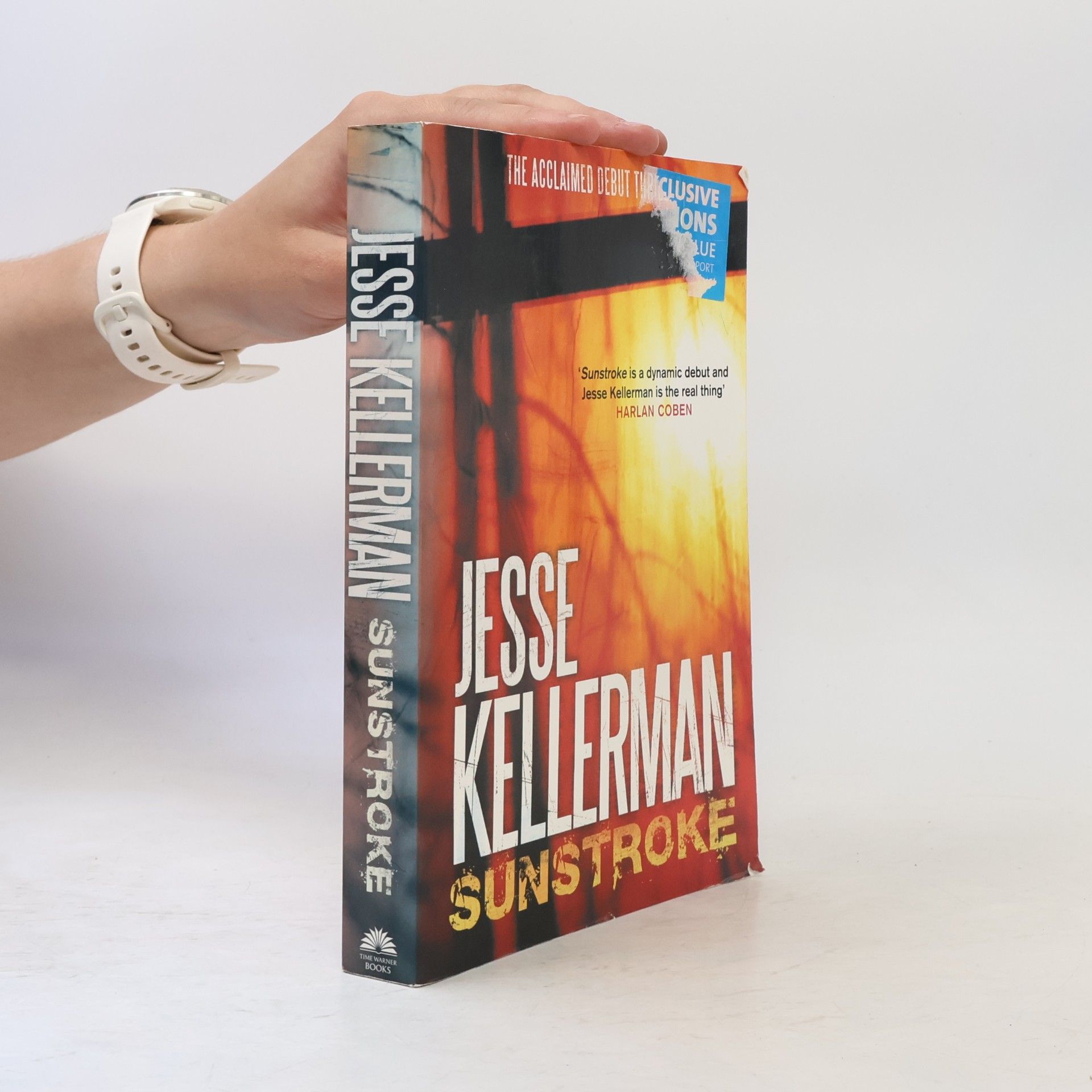 Jesse Kellerman Sunstroke