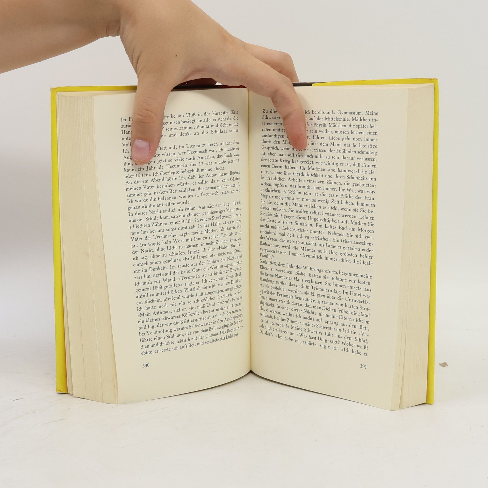 Bernward Vesper Die Reise (Ausgabe lelzter Hand)