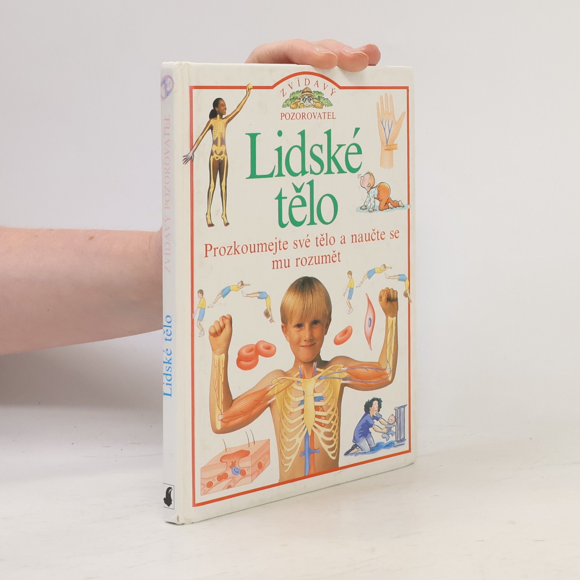 Steve Parker Zvídavý pozorovatel: Lidské tělo