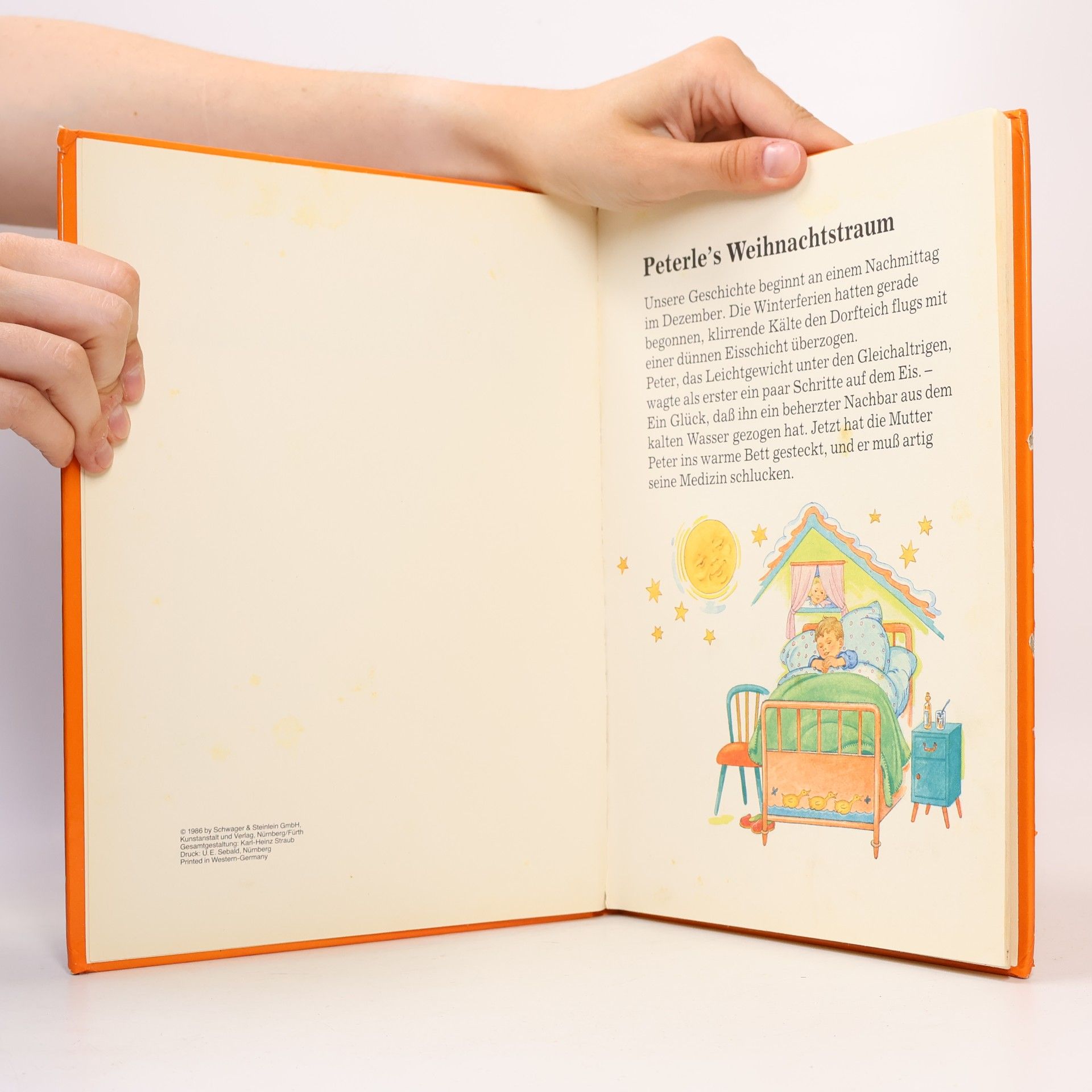 Autorenkollektiv Peterle's Weihnachts-Traum