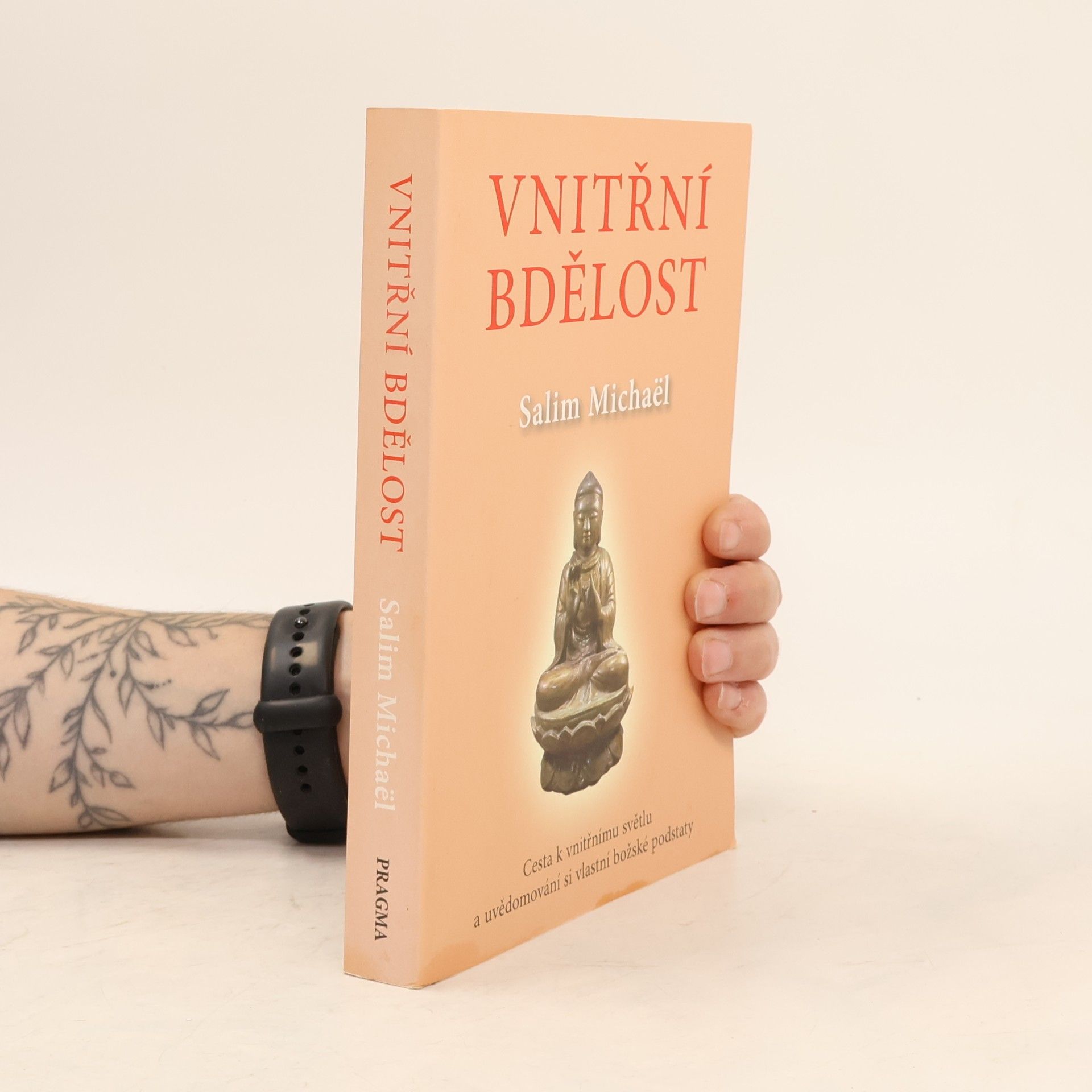 Salim Michaël Vnitřní bdělost : cesta k vnitřnímu světlu a uvědomování si vlastní podstaty