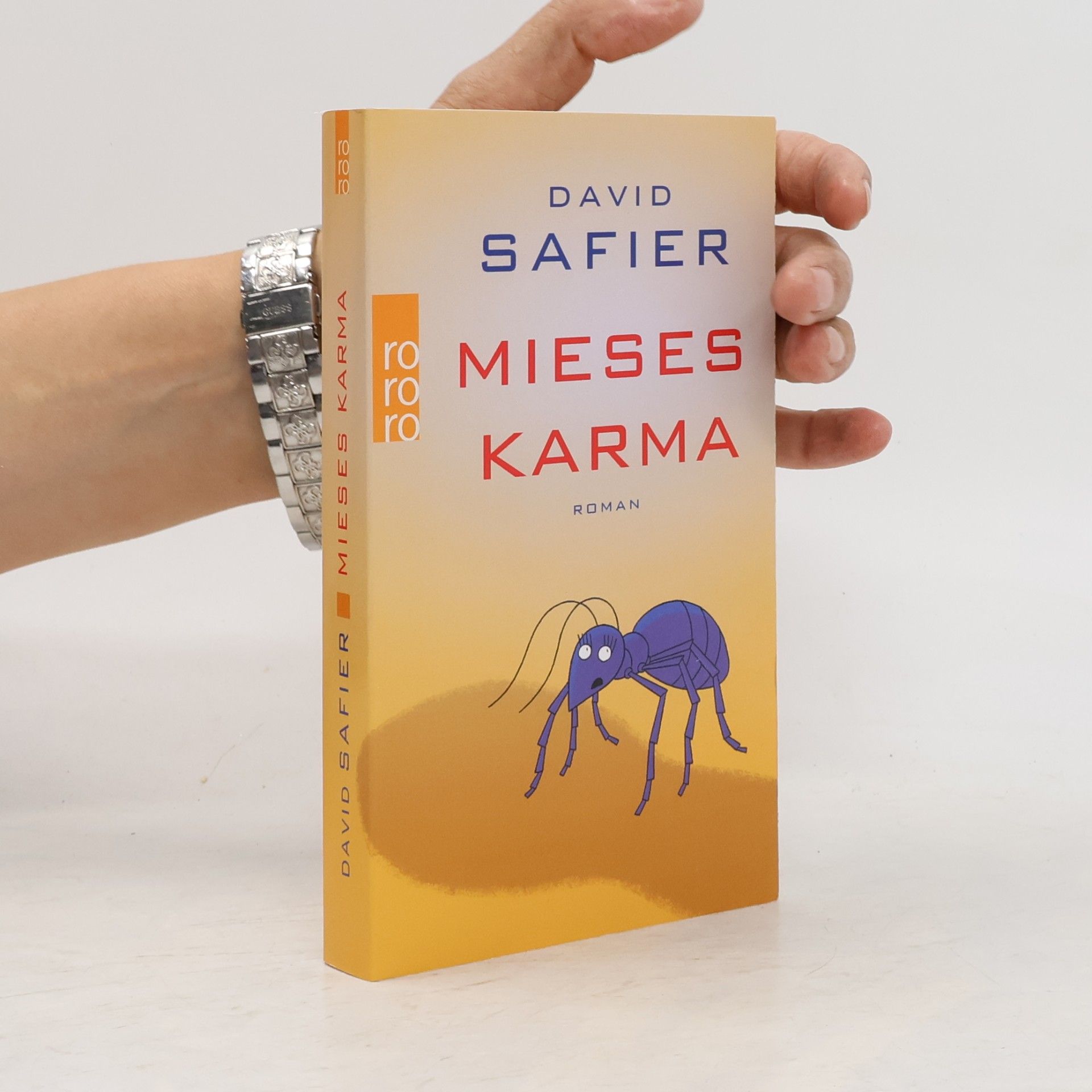David Safier Mieses Karma