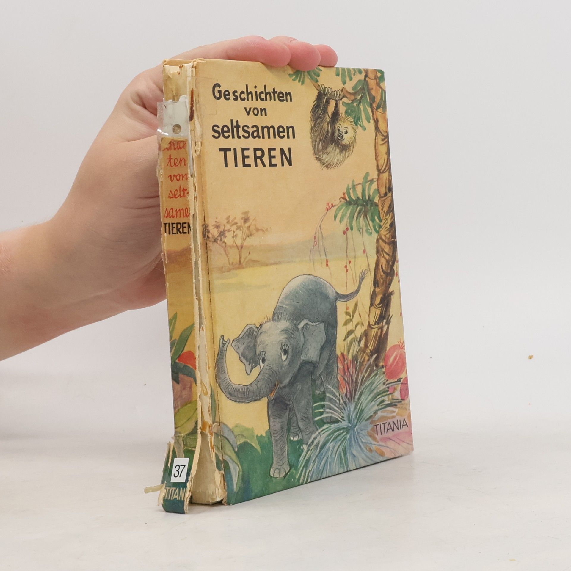 kolektiv Geschichten von seltsamen Tieren