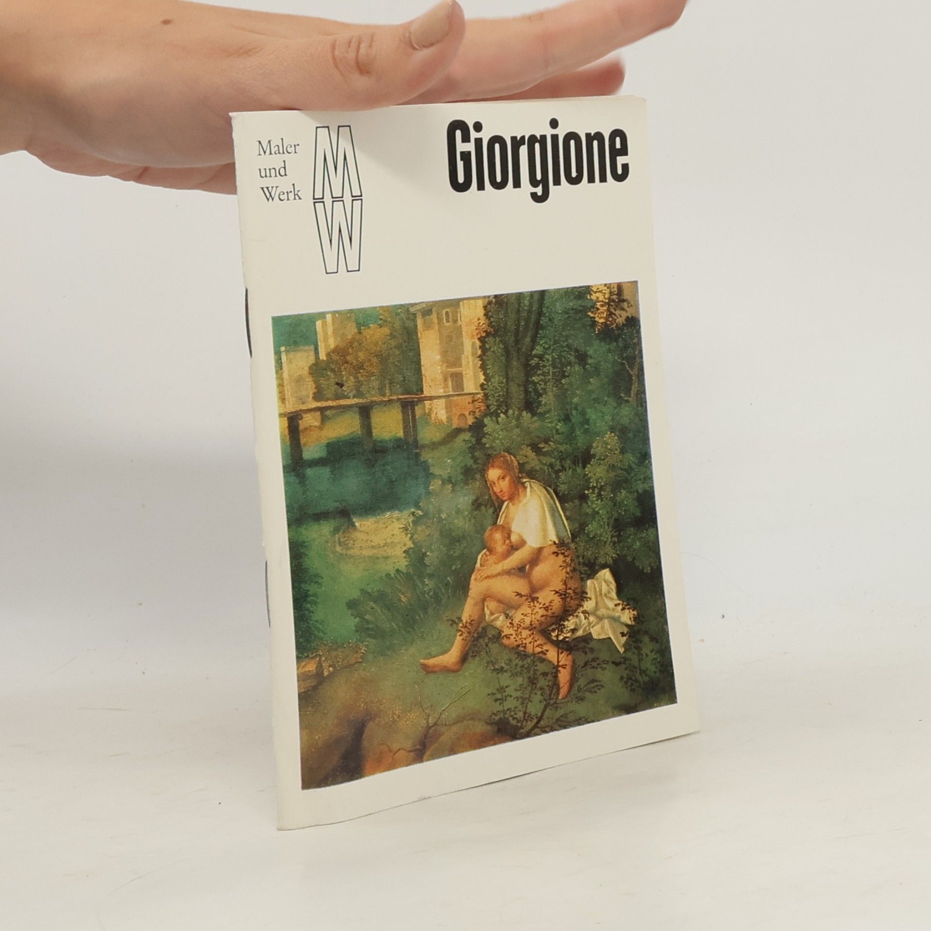Autorenkollektiv Giorgione: Maler und Werk