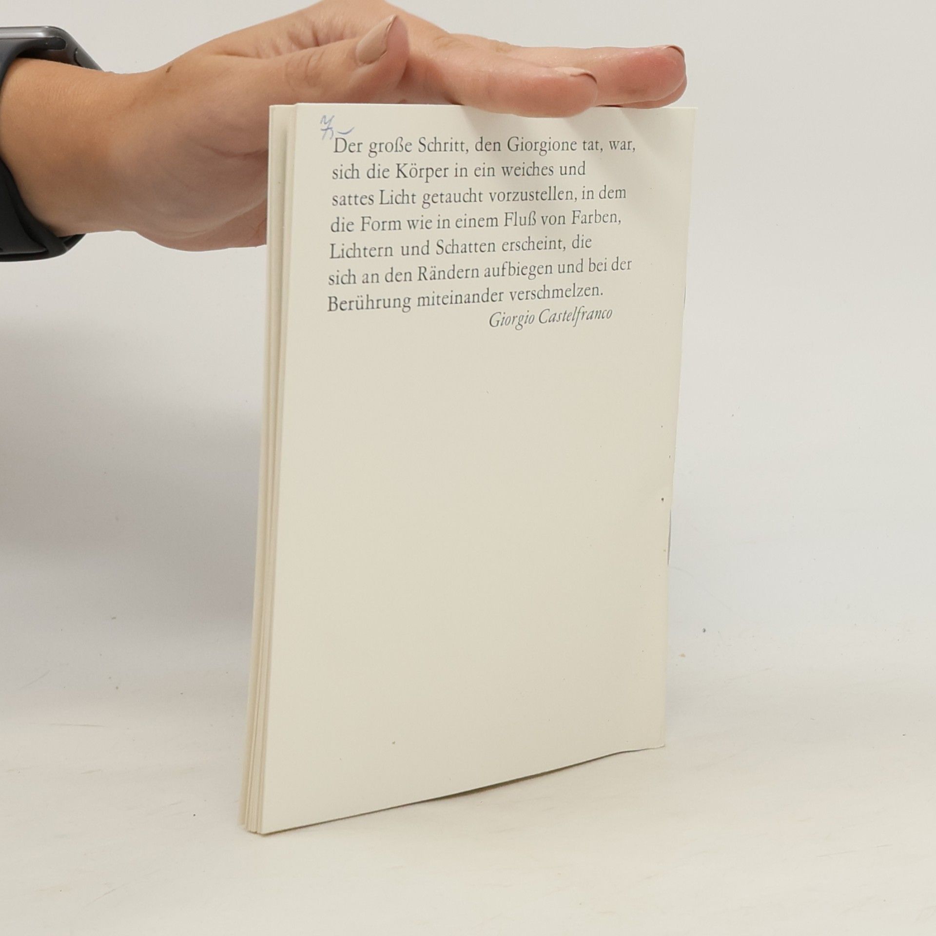 Autorenkollektiv Giorgione: Maler und Werk