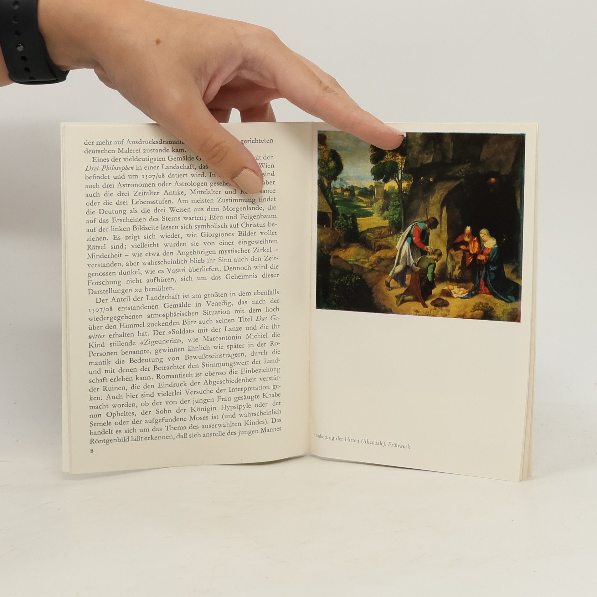 Autorenkollektiv Giorgione: Maler und Werk