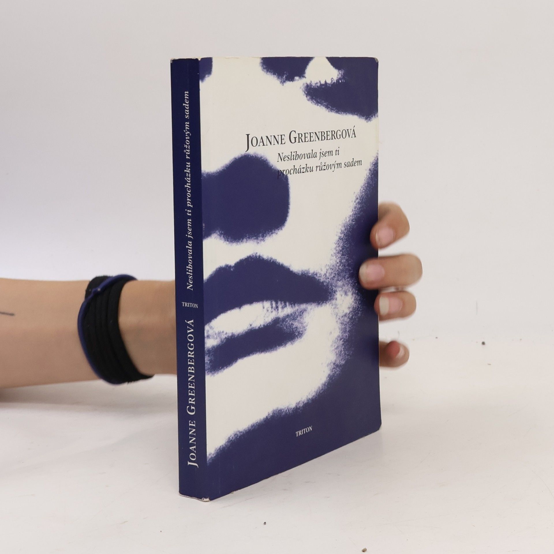Joanne Greenberg Neslibovala jsem ti procházku růžovým sadem