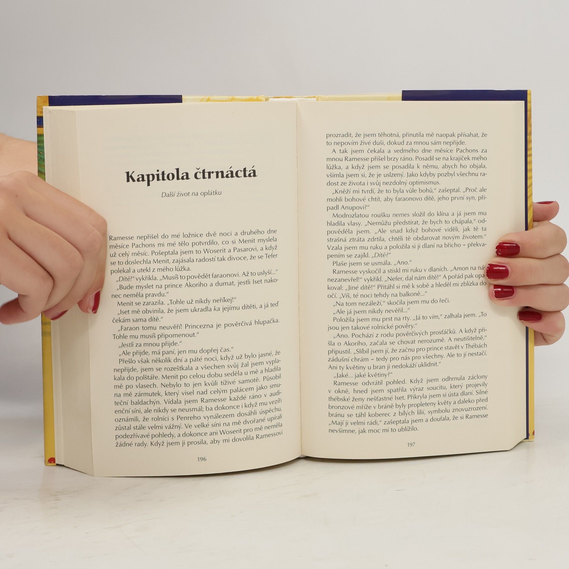 Michelle Moran Nefertari: Dědictví kacířské královny