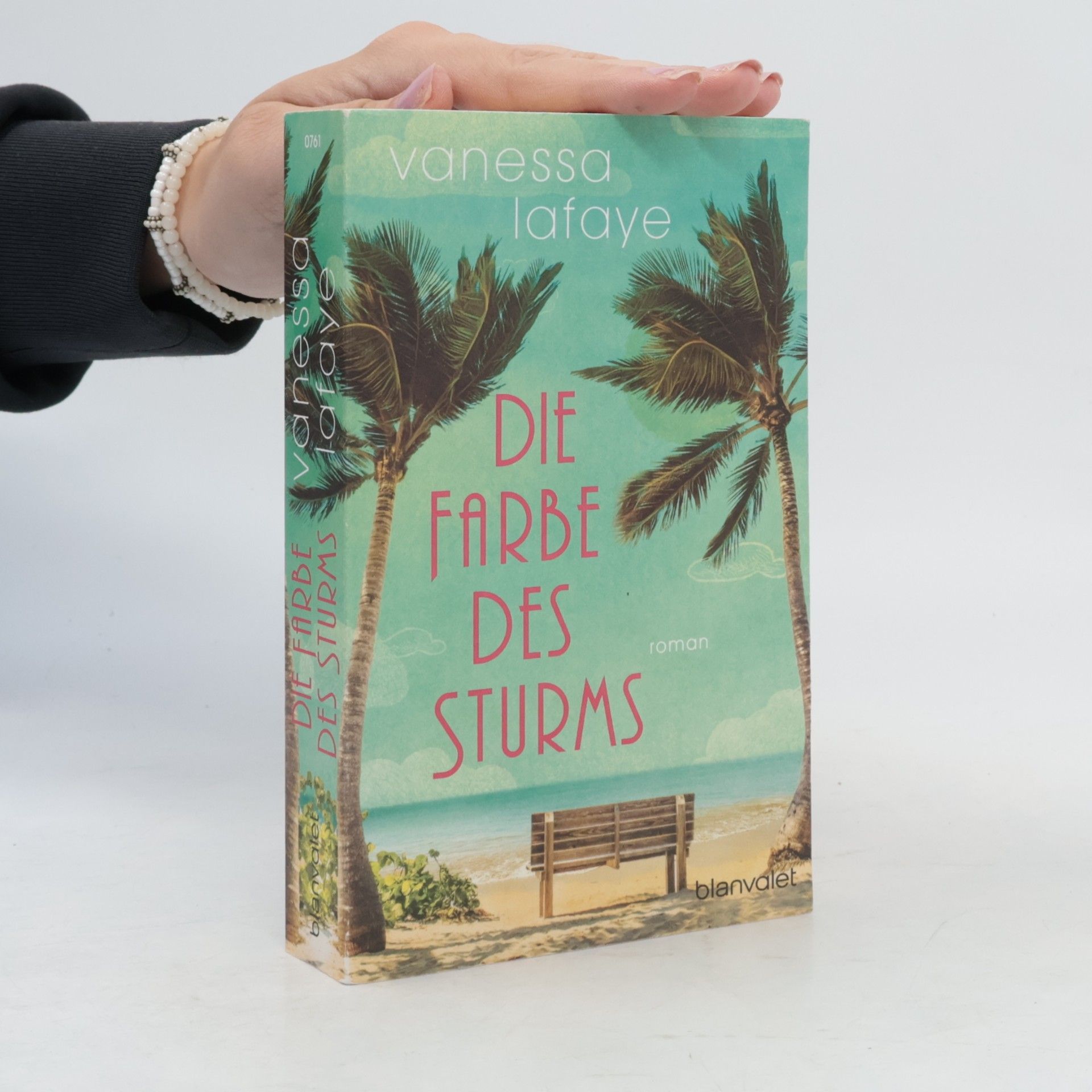Vanessa Lafaye Die Farbe des Sturms