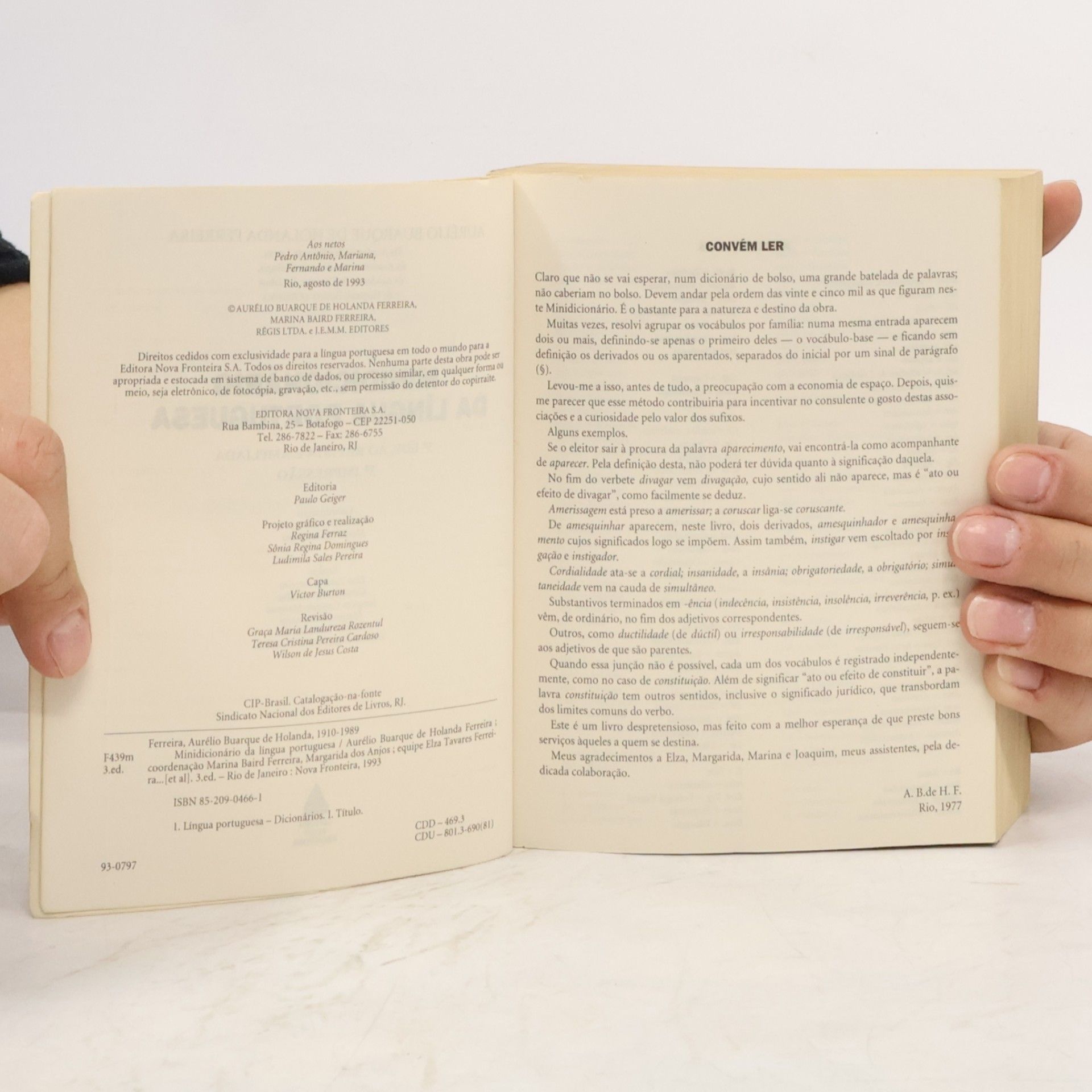 Aurélio Buarque de Holanda Ferreira Minidicionário Aurélio da Língua Portuguesa