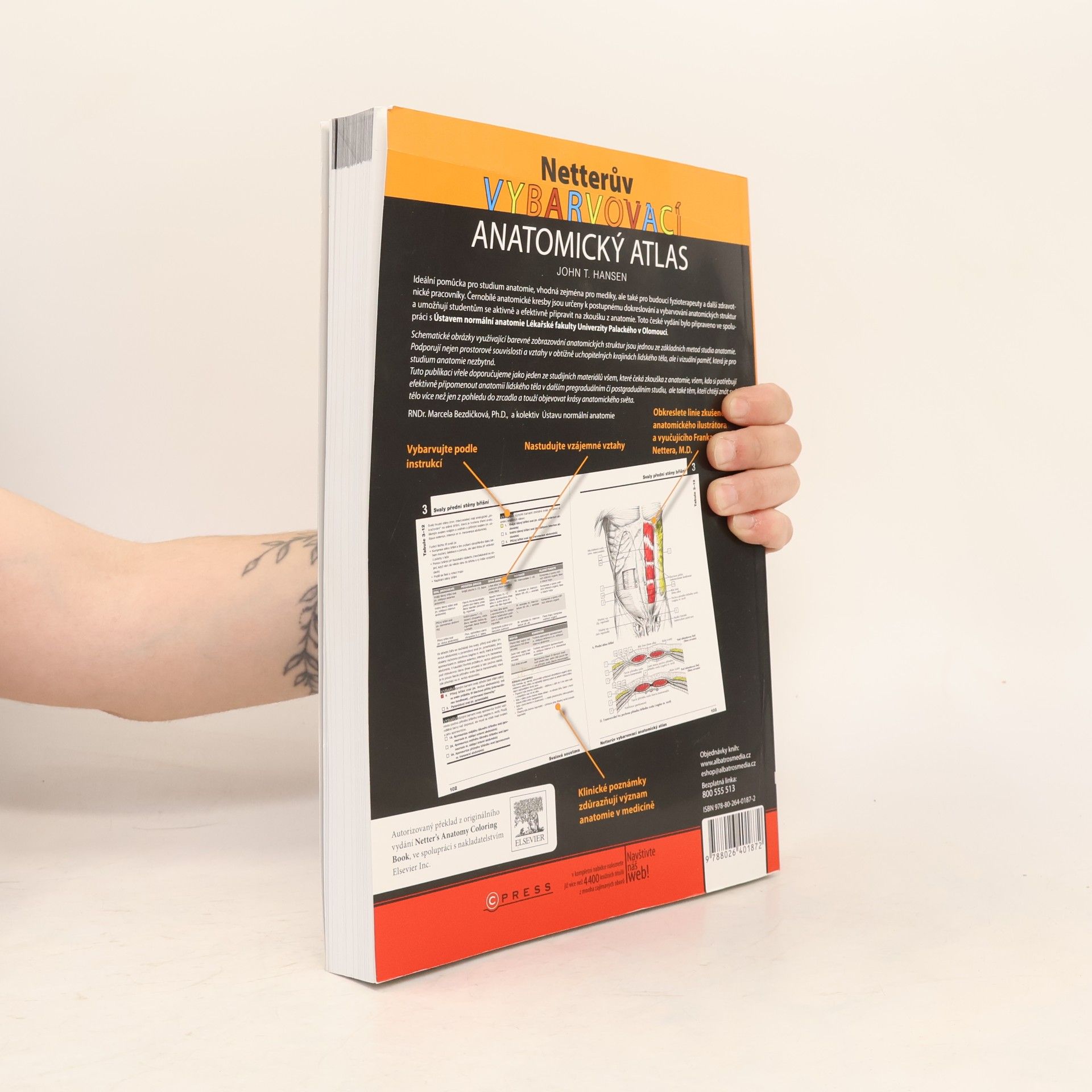 John T. Hansen Netterův vybarvovací anatomický atlas