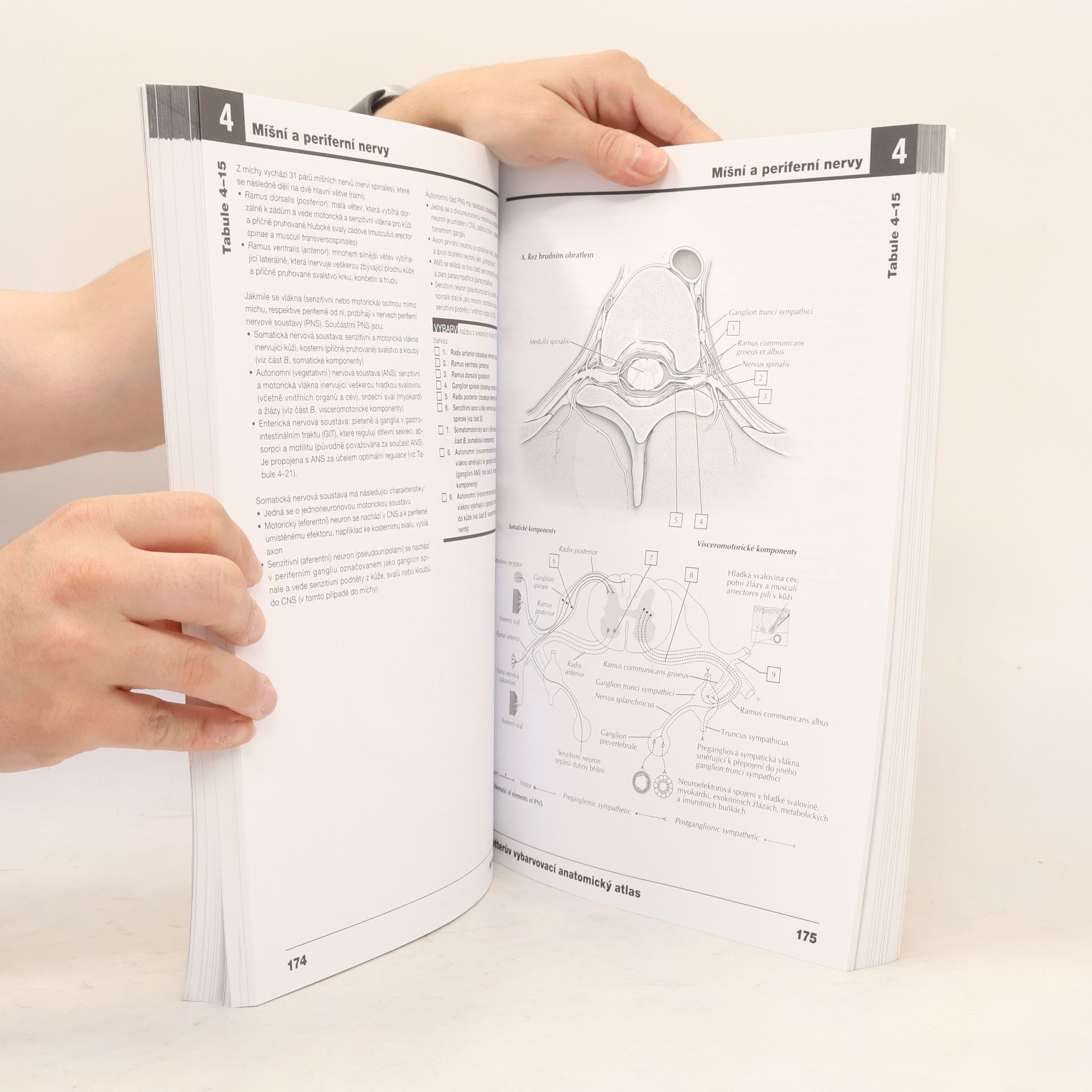 John T. Hansen Netterův vybarvovací anatomický atlas