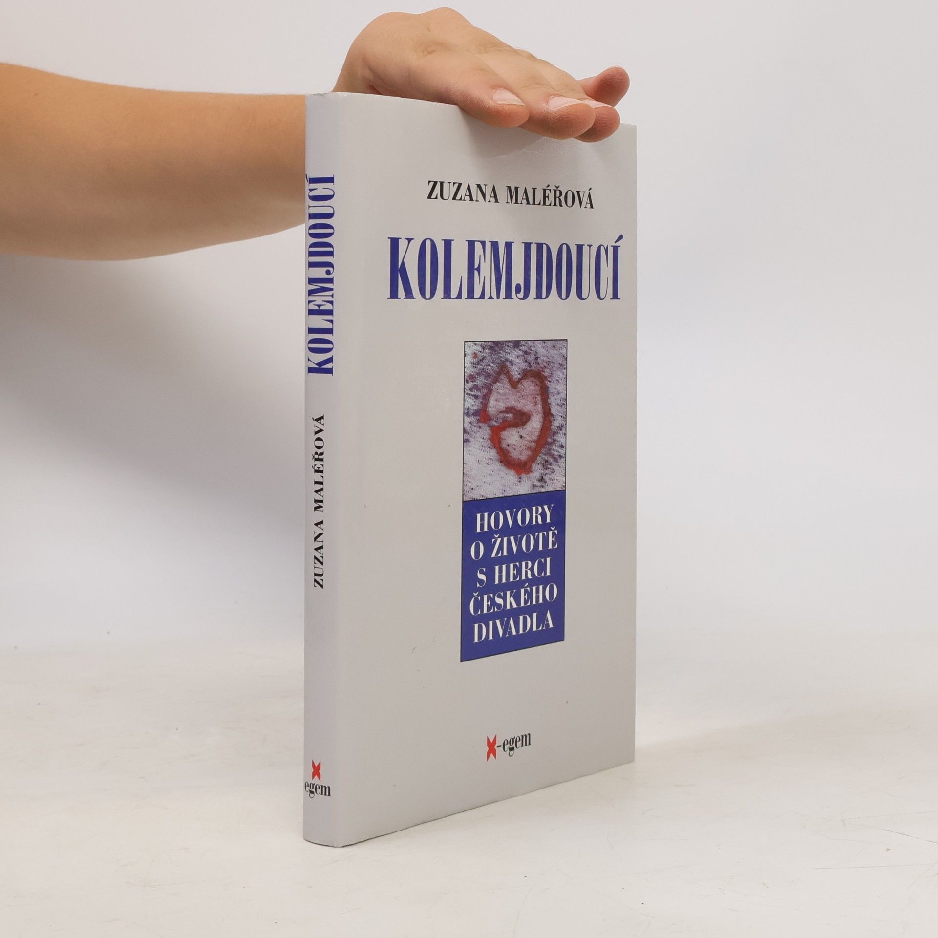 Zuzana Maléřová Kolemjdoucí