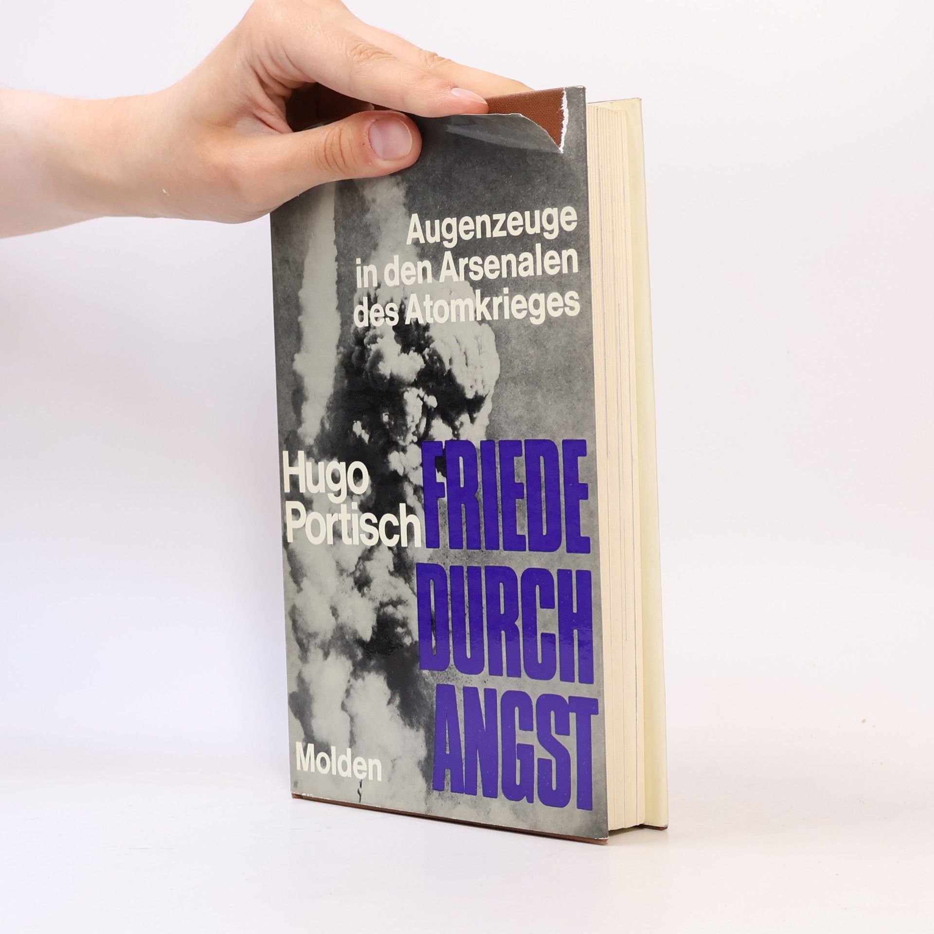Hugo Portisch Friede durch Angst