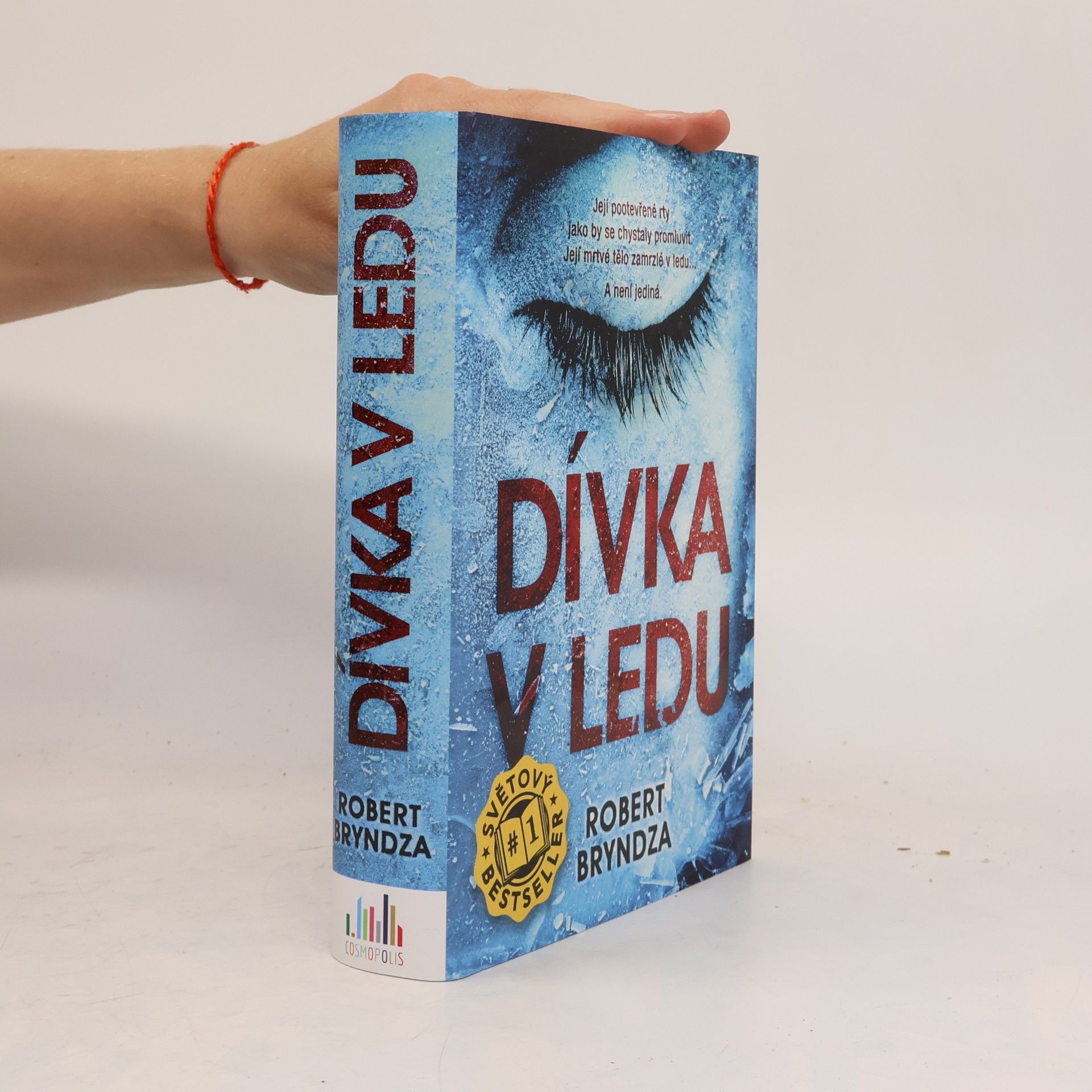 Robert Bryndza Dívka v ledu