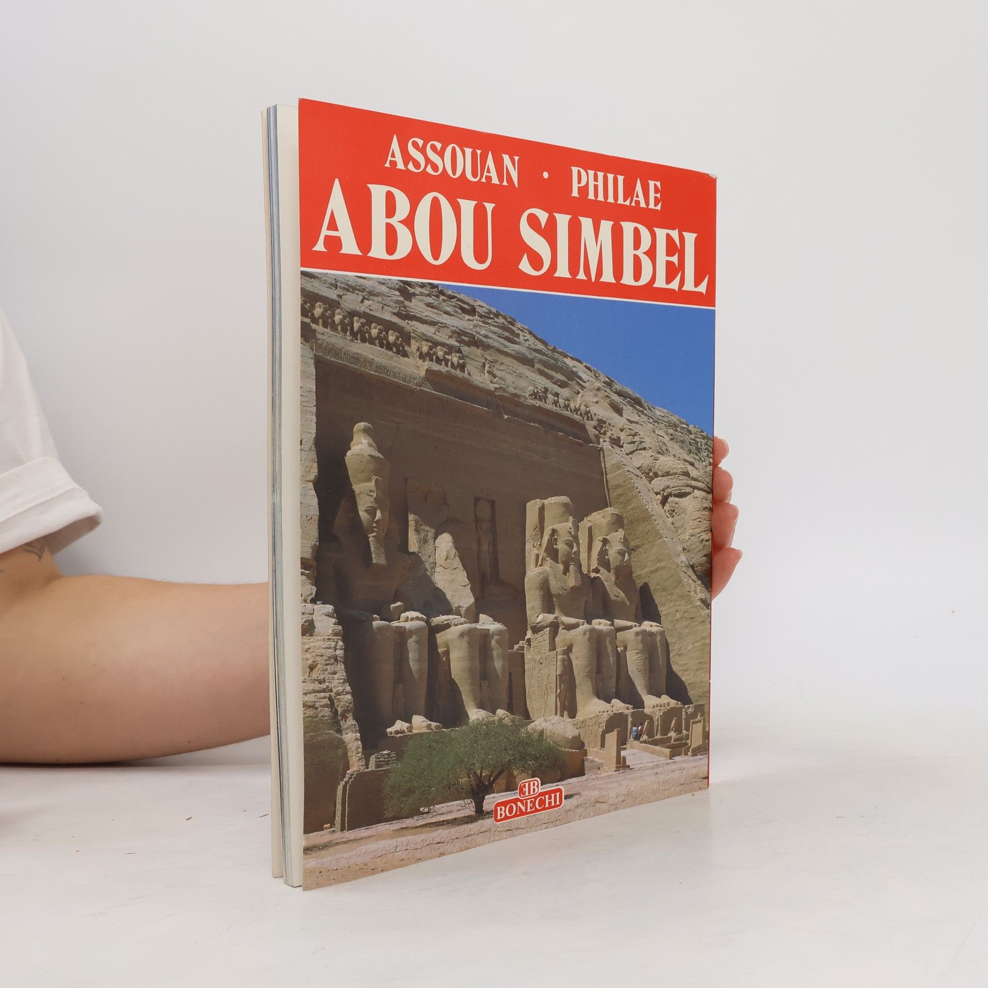 Giovanna Magi Assuan, Philae, Abu Simbel - Edition française