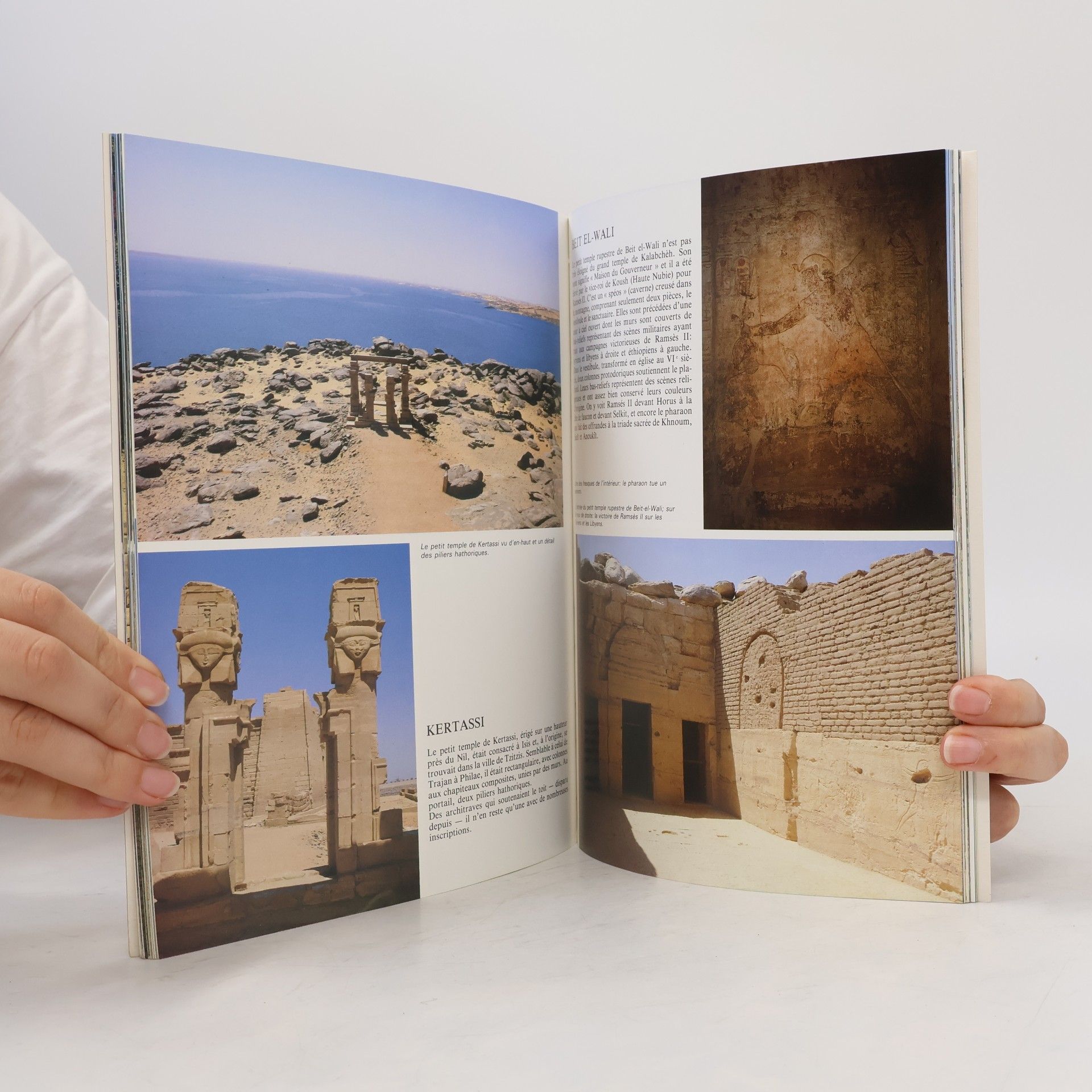 Giovanna Magi Assuan, Philae, Abu Simbel - Edition française