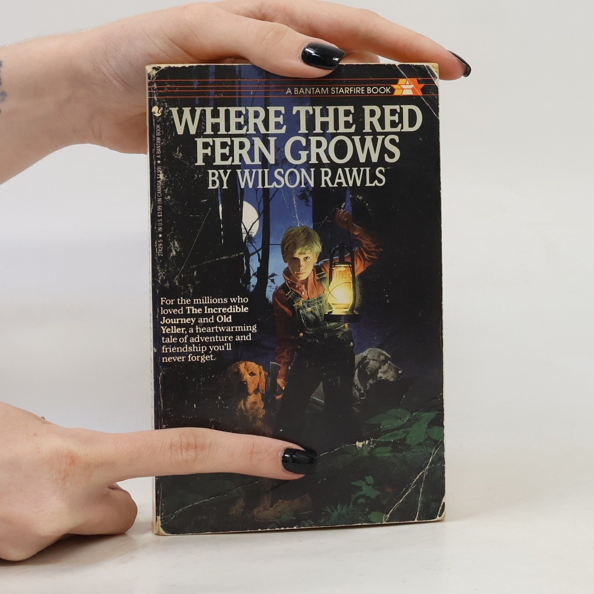 Wilson Rawls Where the Red Fern Grows