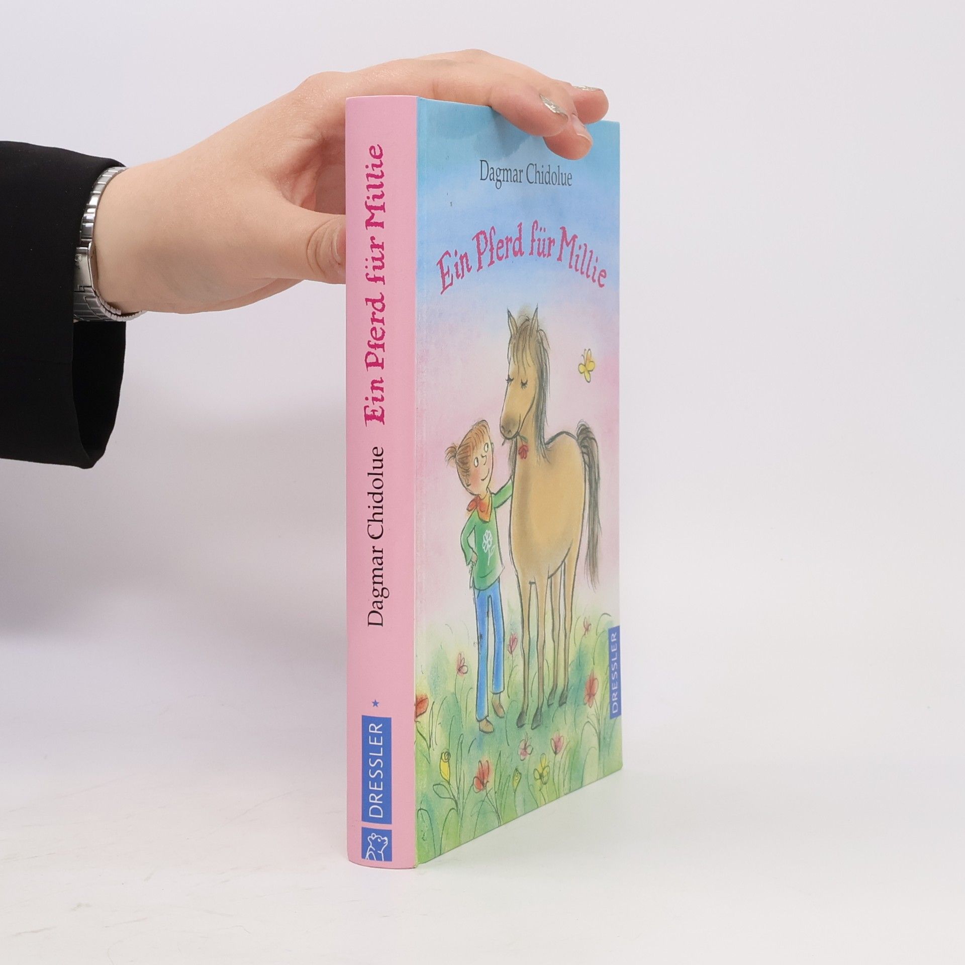 Dagmar Chidolue Ein Pferd für Millie