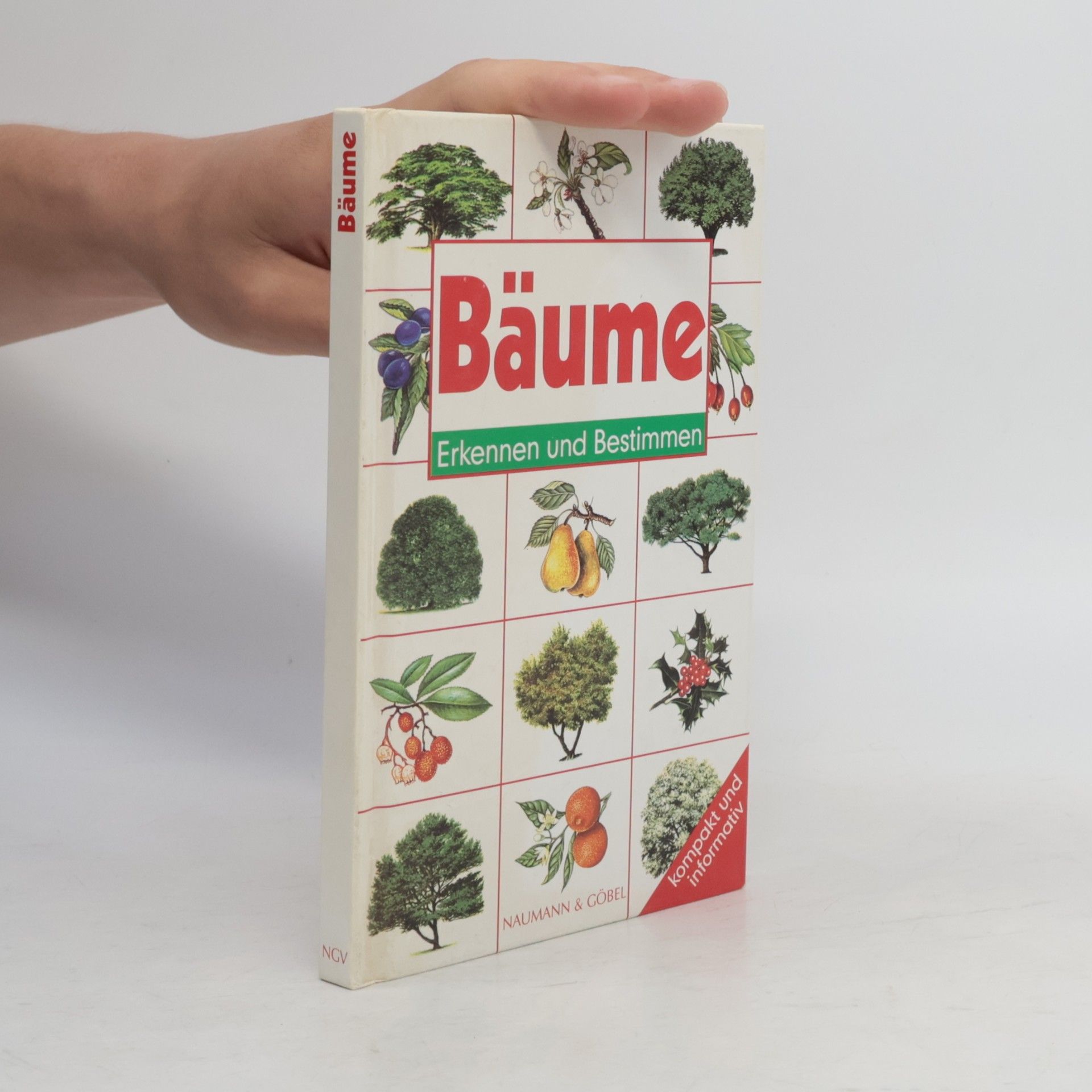 Bäume